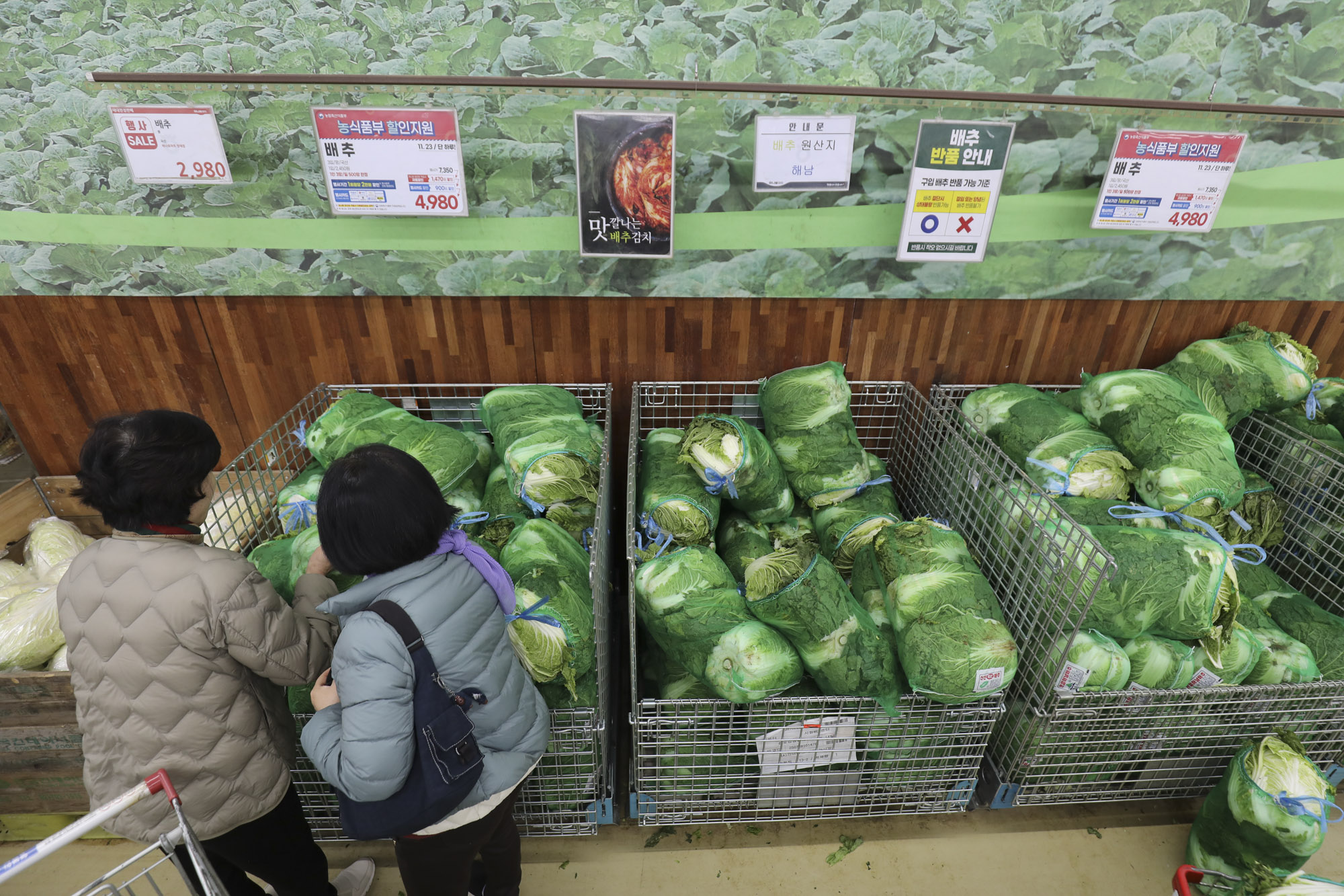 김장배추;마트배추;배추가격;김치가격;김장김치;하나로마트