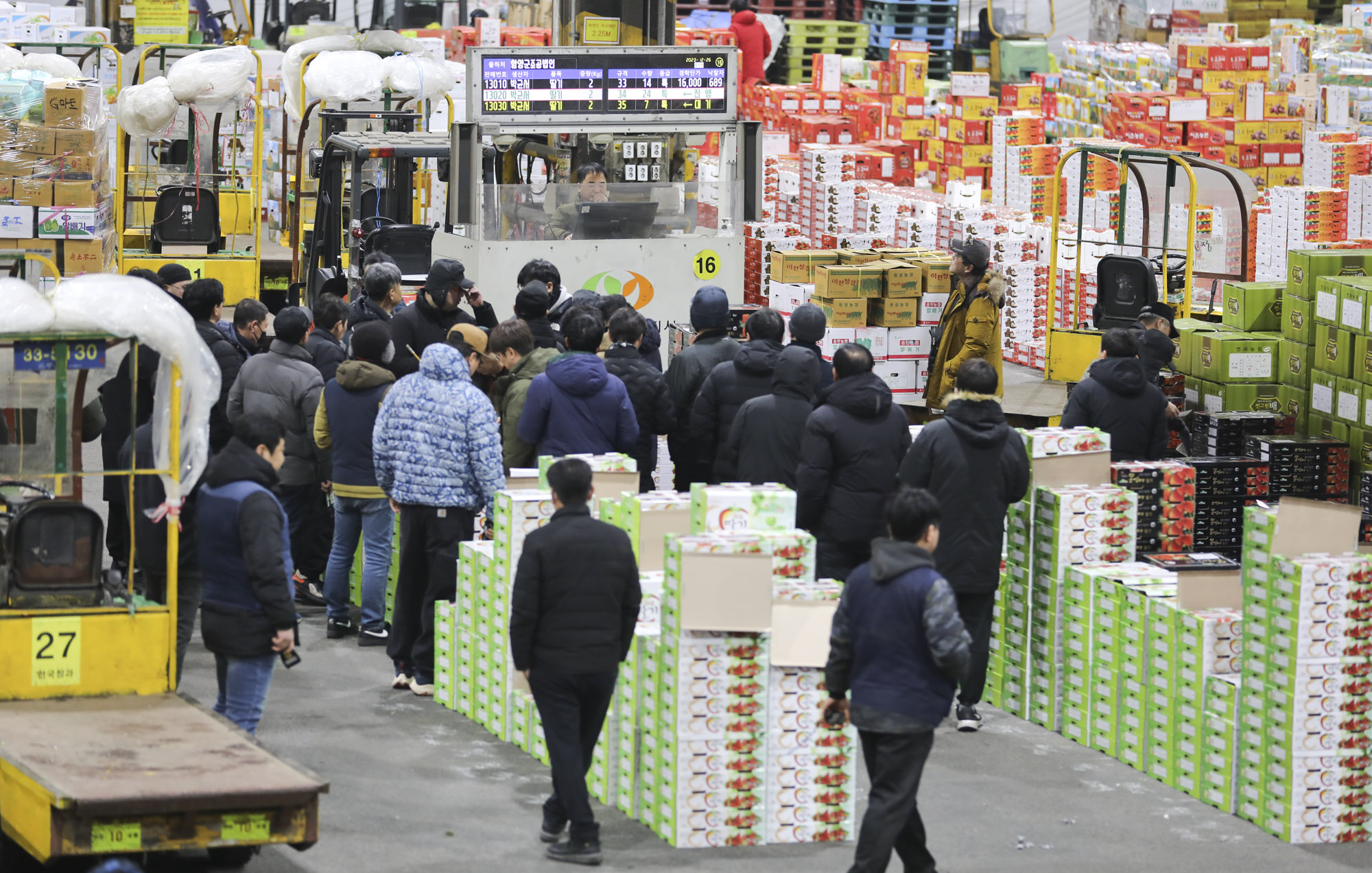 농수산물경매;가락시장;가락농수산물