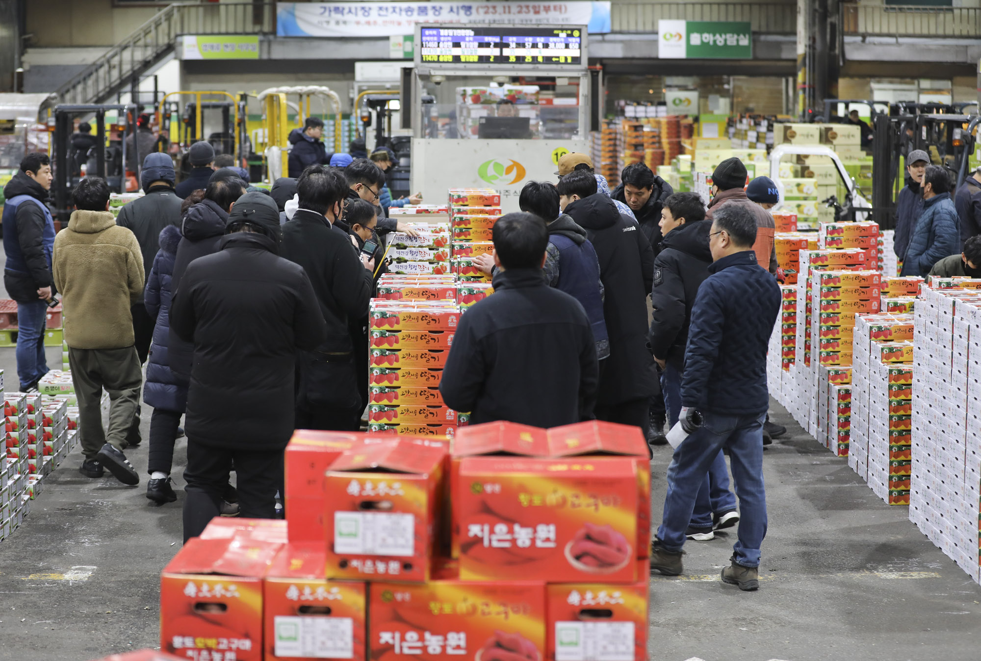 농수산물경매;가락시장;가락농수산물