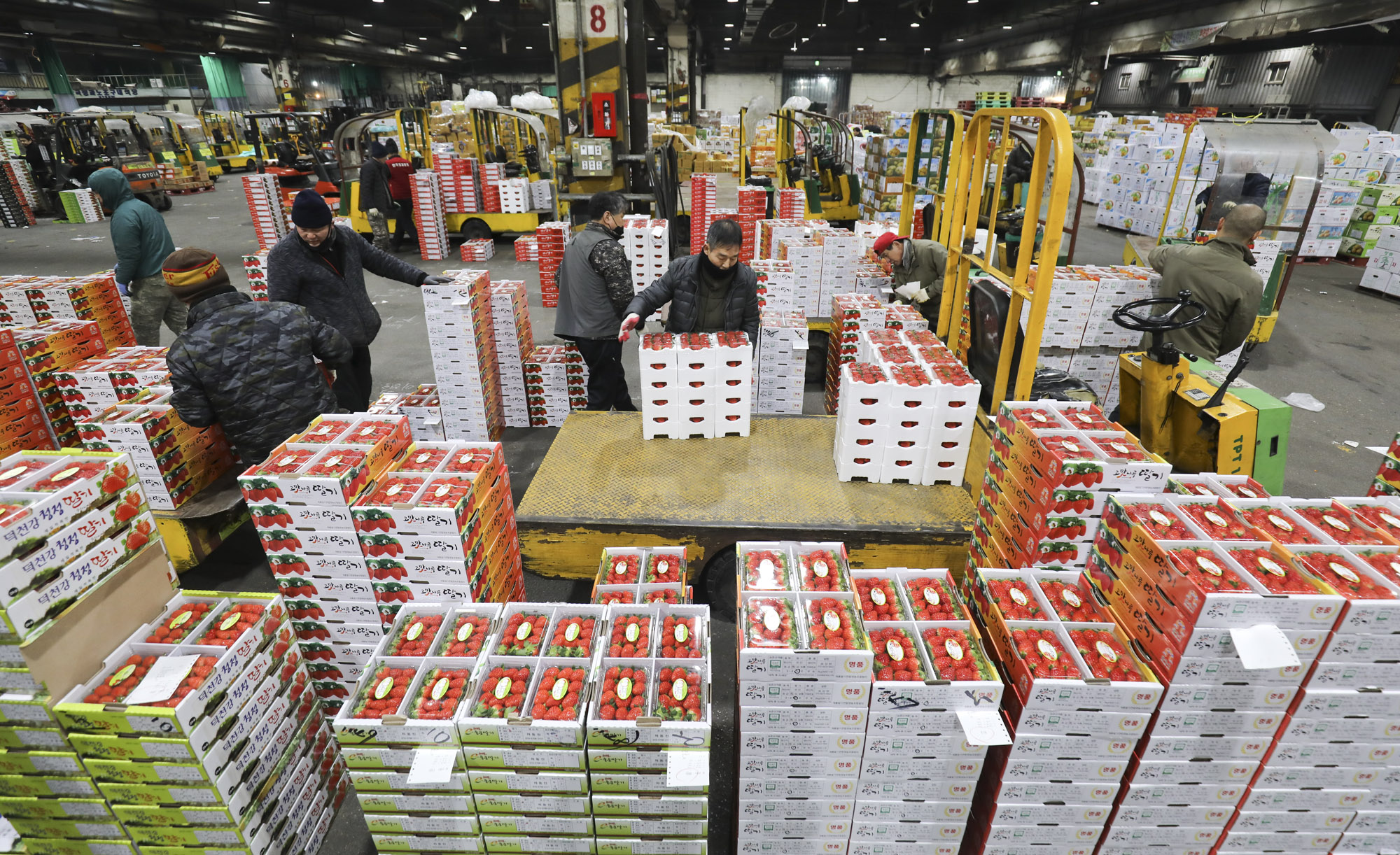 농수산물경매;가락시장;가락농수산물