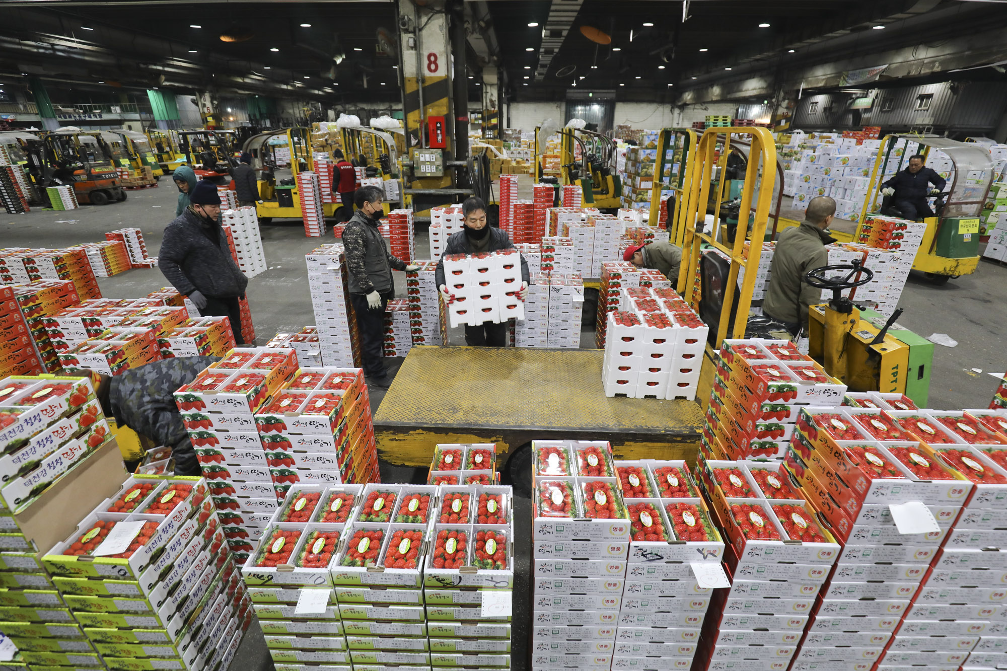 농수산물경매;가락시장;가락농수산물