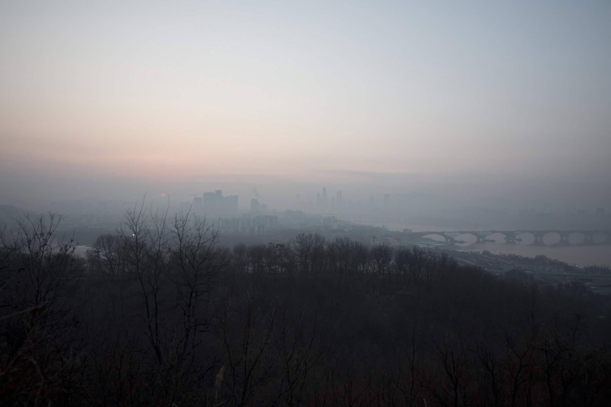 사회;세태;신년;하늘공원;일출;서울