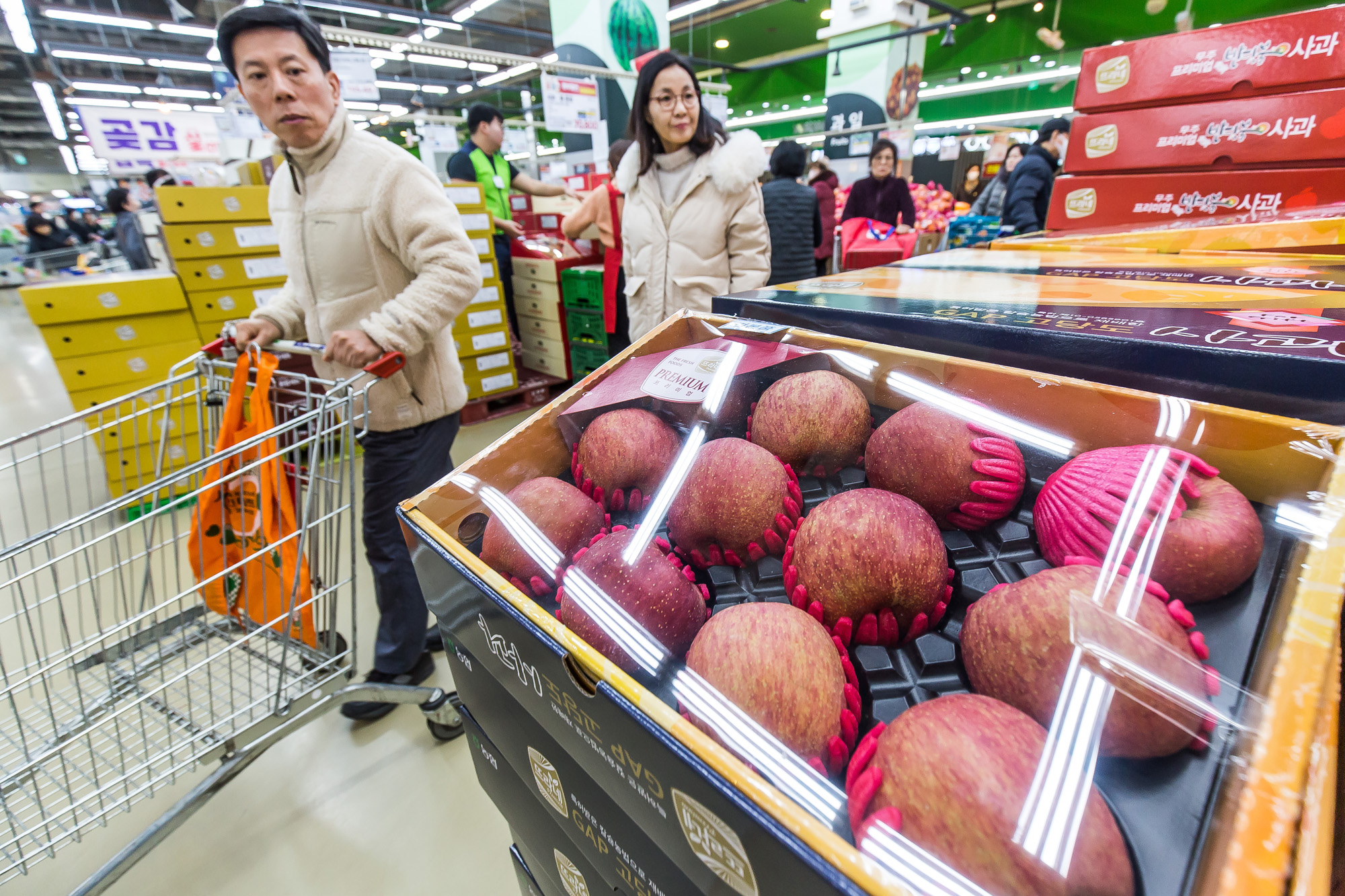 사회;세태;명절;설날;구정;설선물세트;설과일선물세트;설장바구니물가;농협하나로마트양재점