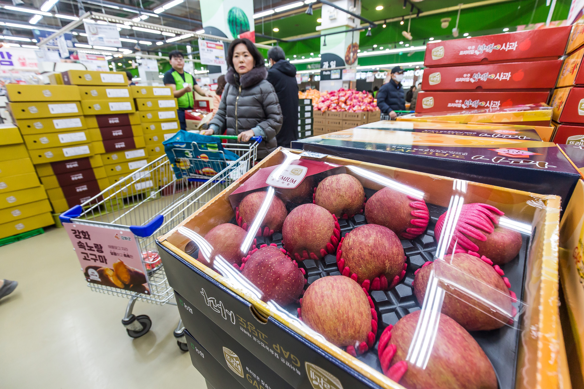 사회;세태;명절;설날;구정;설선물세트;설과일선물세트;설장바구니물가;농협하나로마트양재점