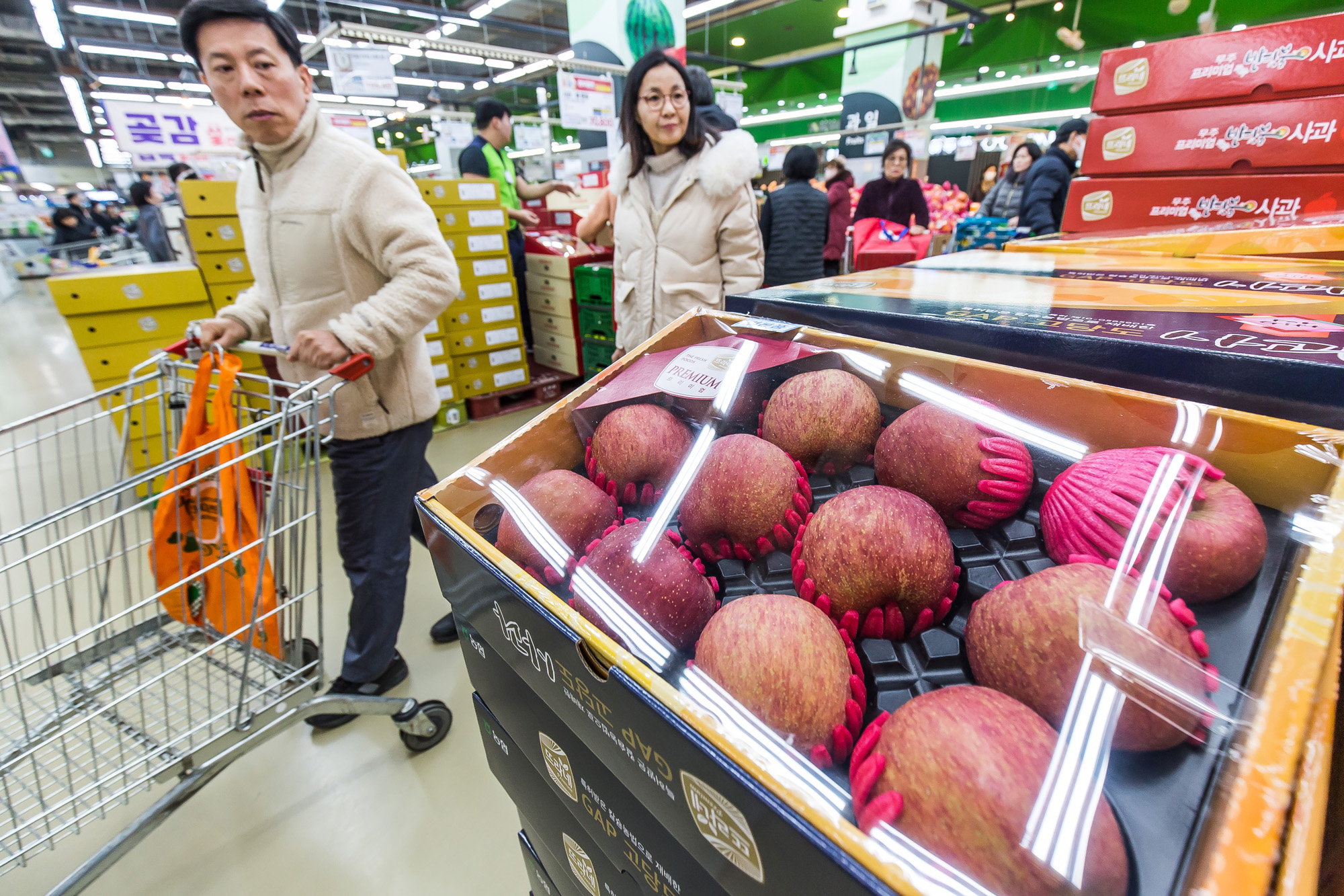 사회;세태;명절;설날;구정;설선물세트;설과일선물세트;설장바구니물가;농협하나로마트양재점