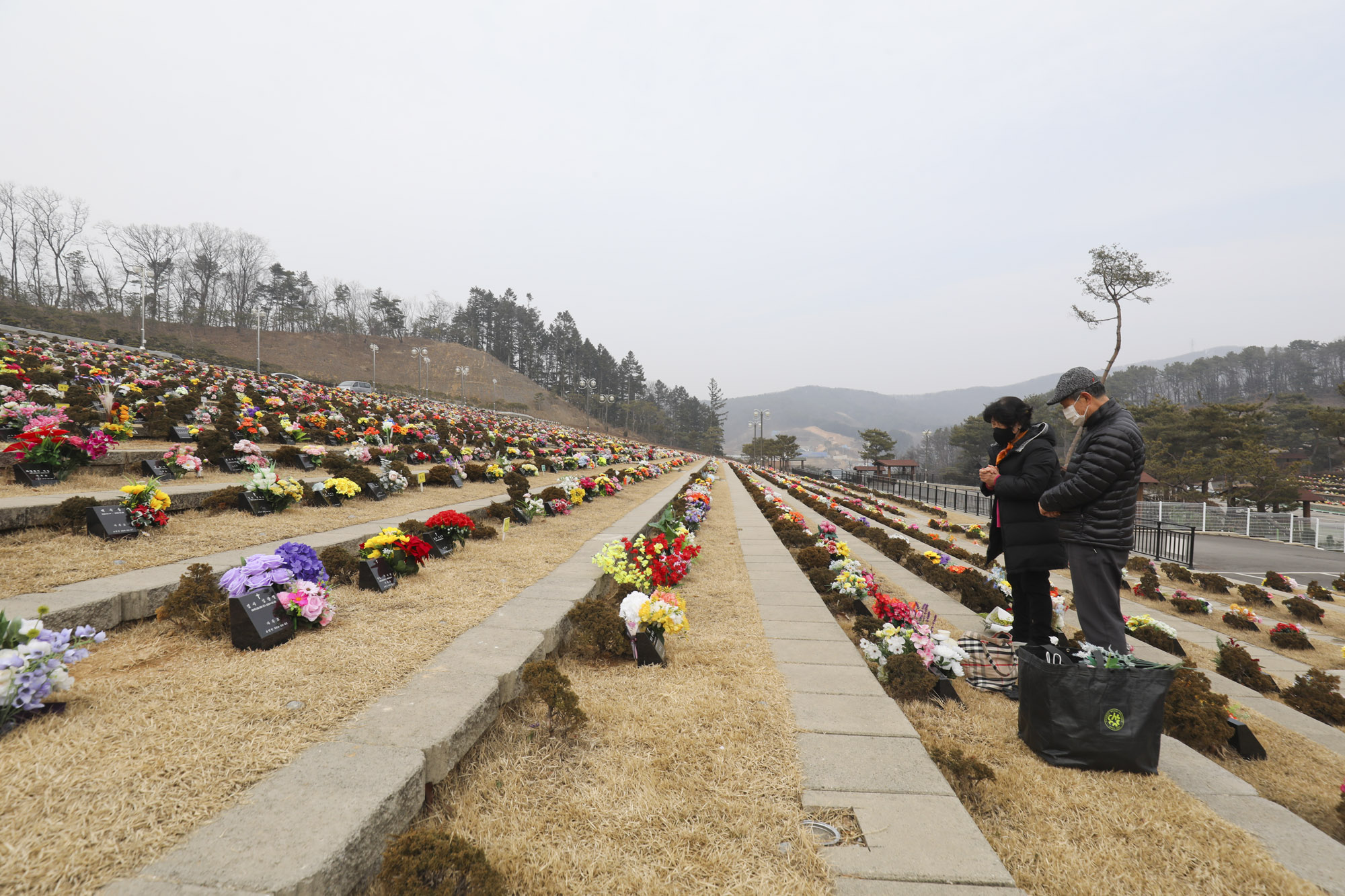 성묘;설날;무덤;차례