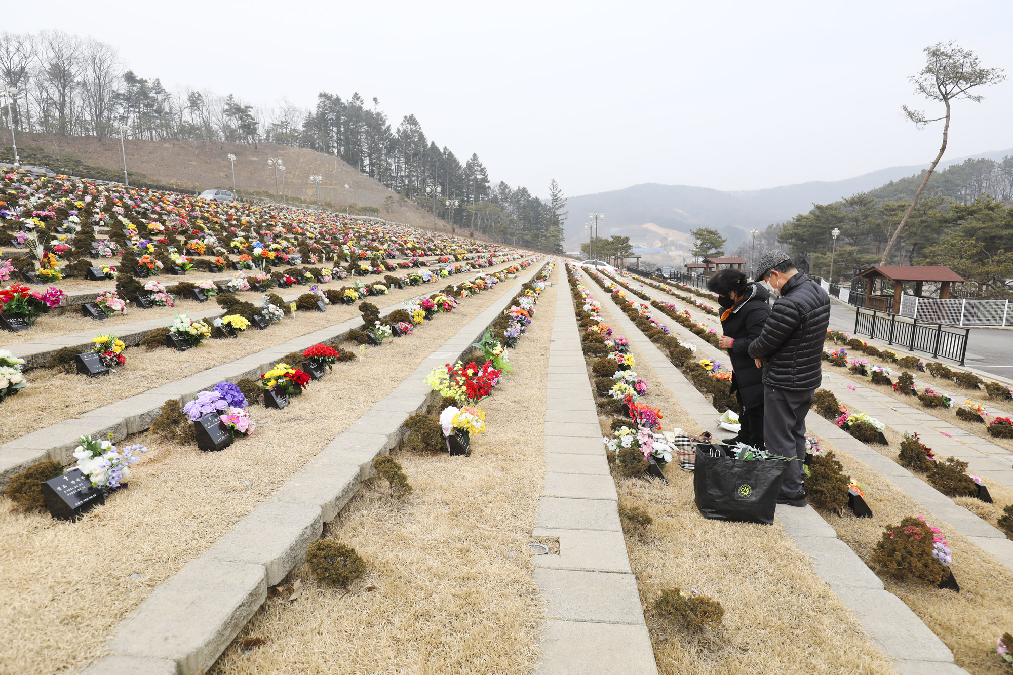 성묘;설날;무덤;차례