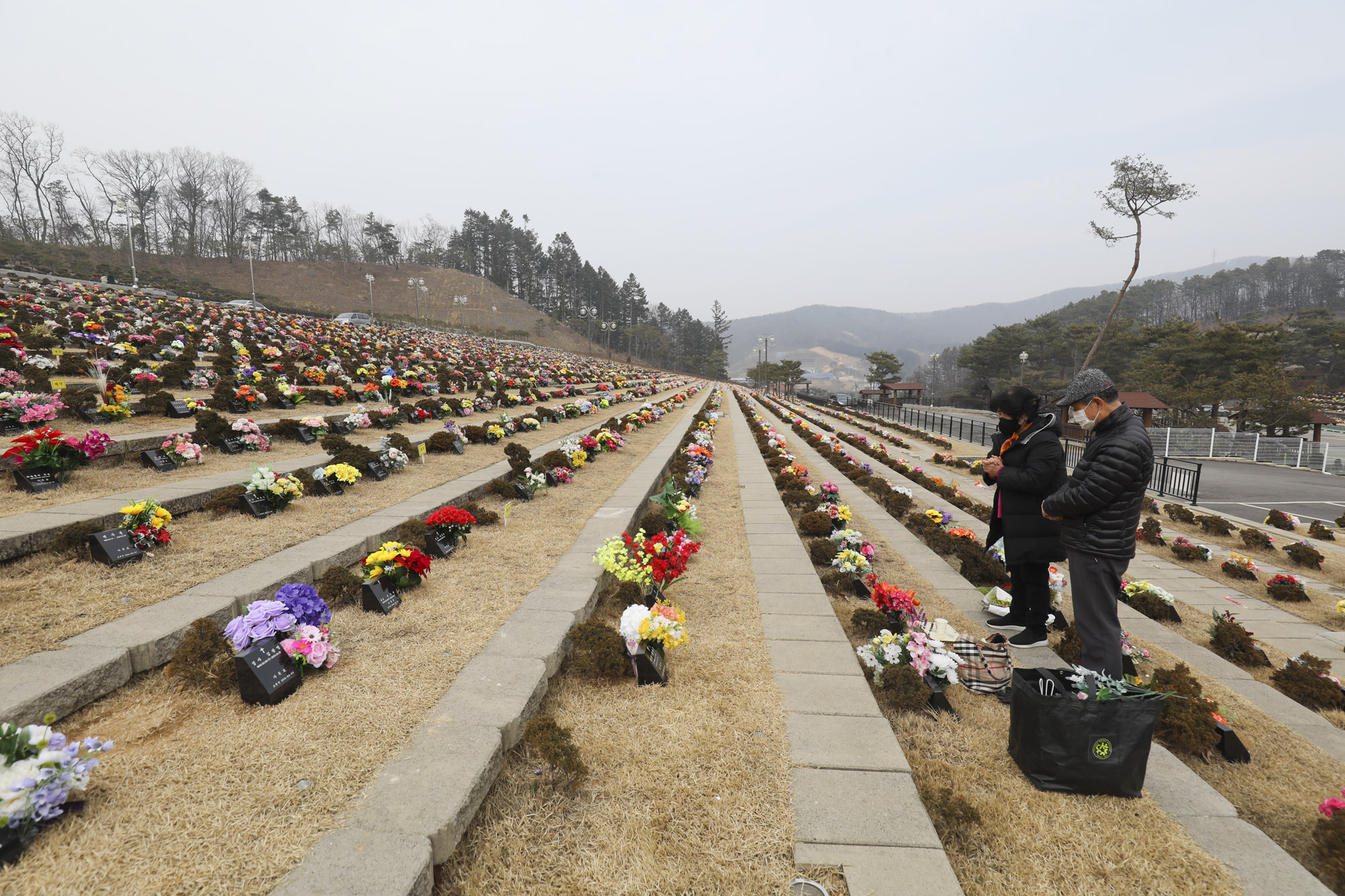 성묘;설날;무덤;차례