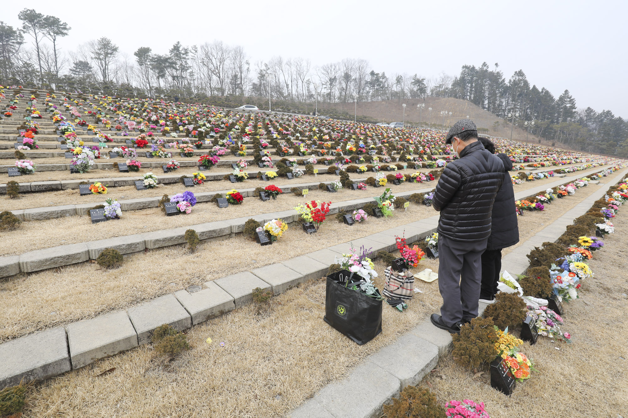 성묘;설날;무덤;차례