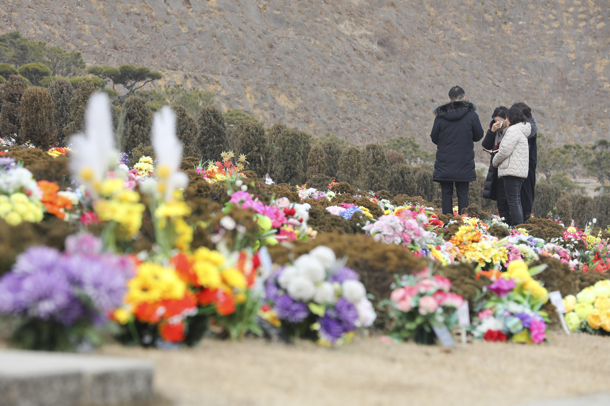 성묘;설날;무덤;차례