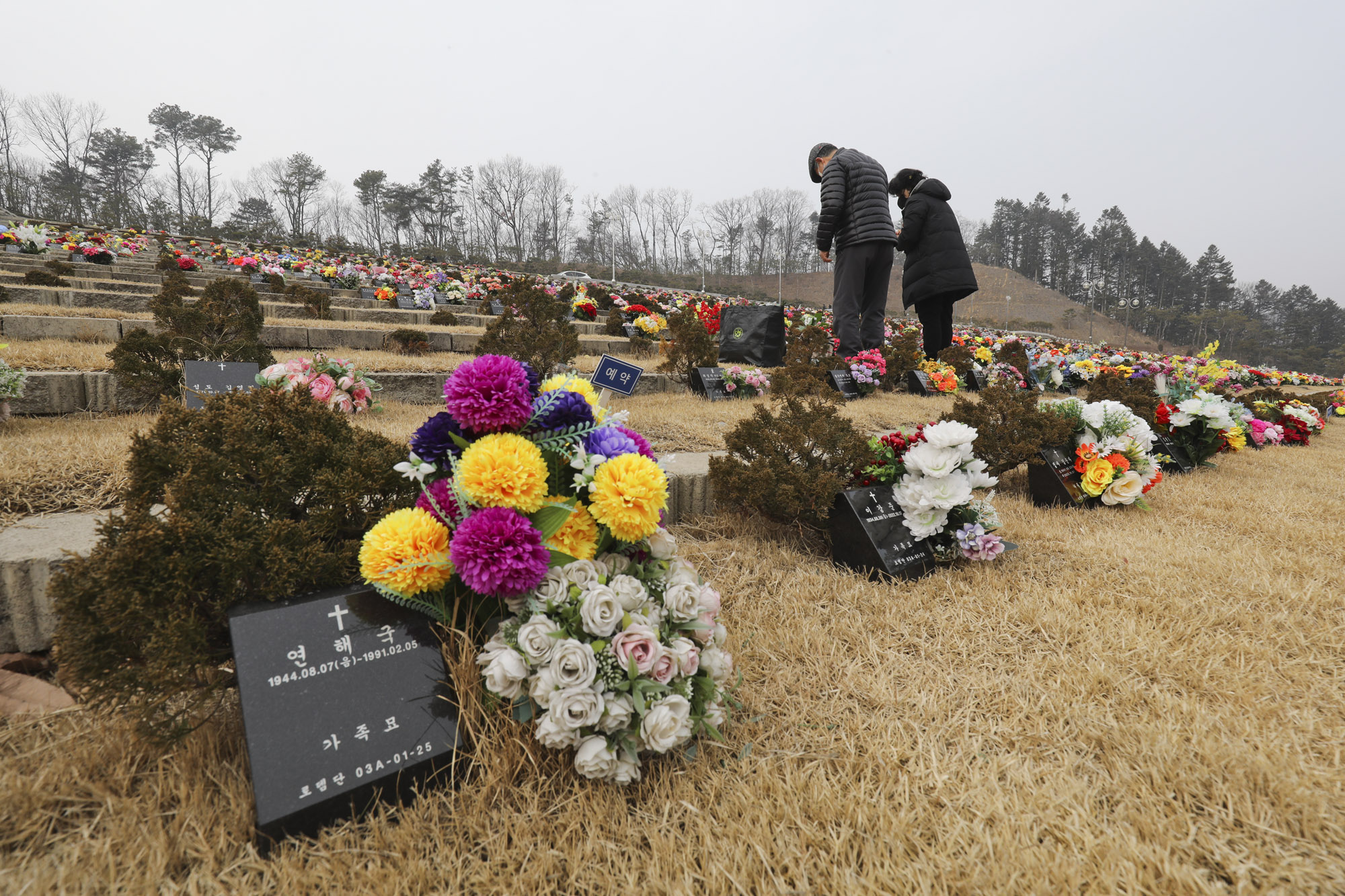 성묘;설날;무덤;차례