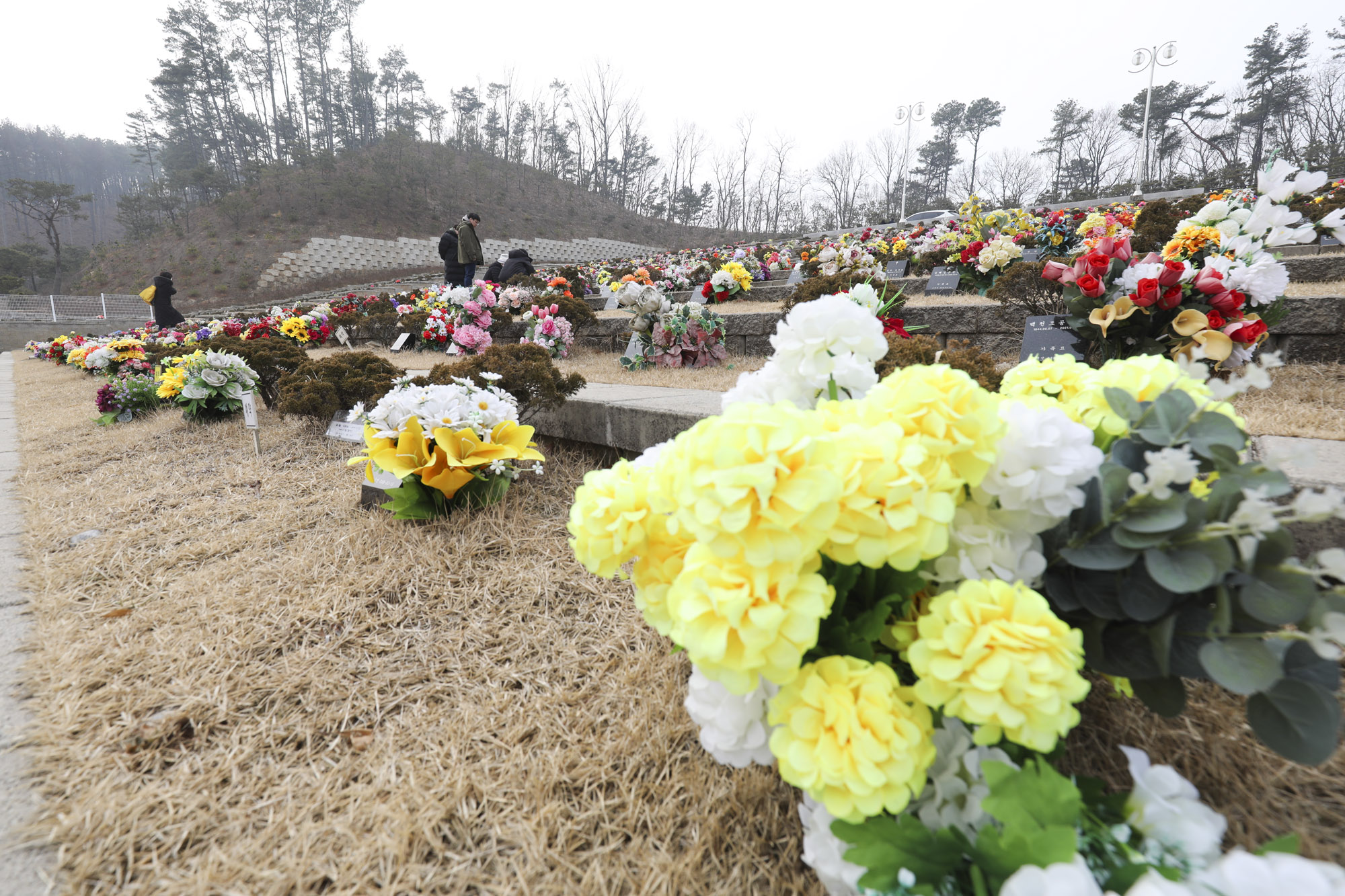 성묘;설날;무덤;차례