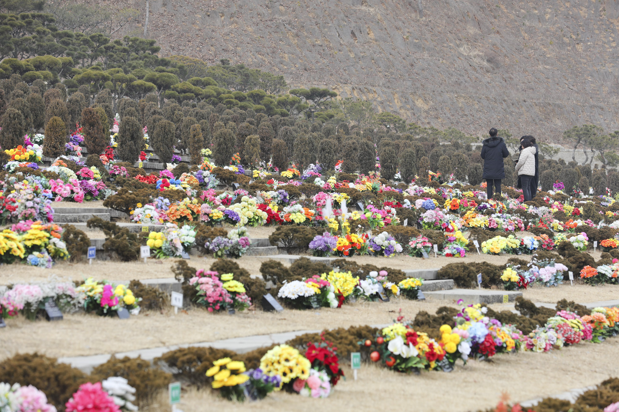 성묘;설날;무덤;차례