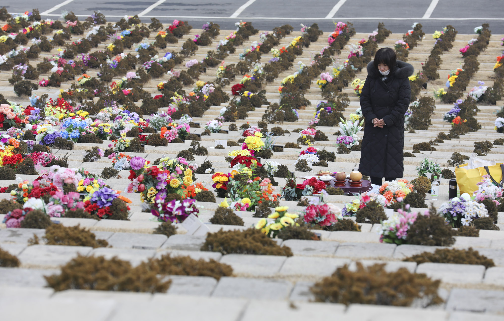 성묘;설날;무덤;차례