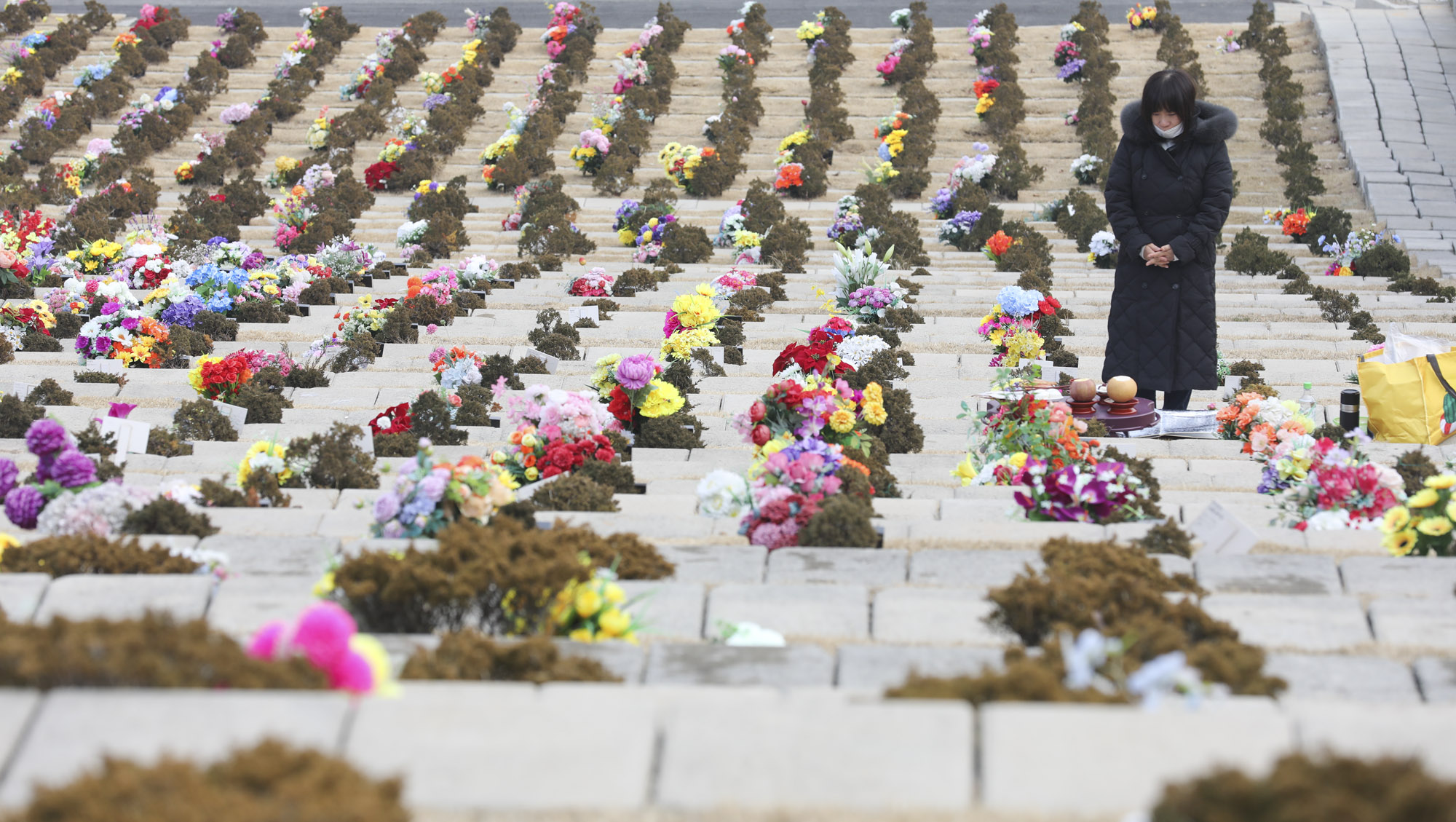 성묘;설날;무덤;차례