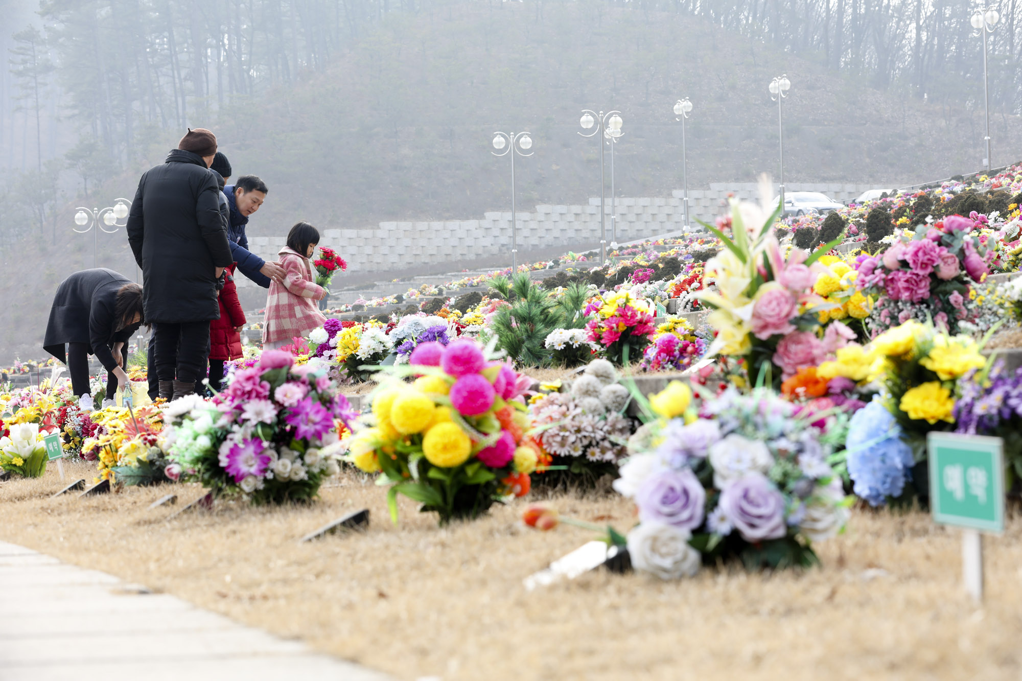 성묘;설날;무덤;차례