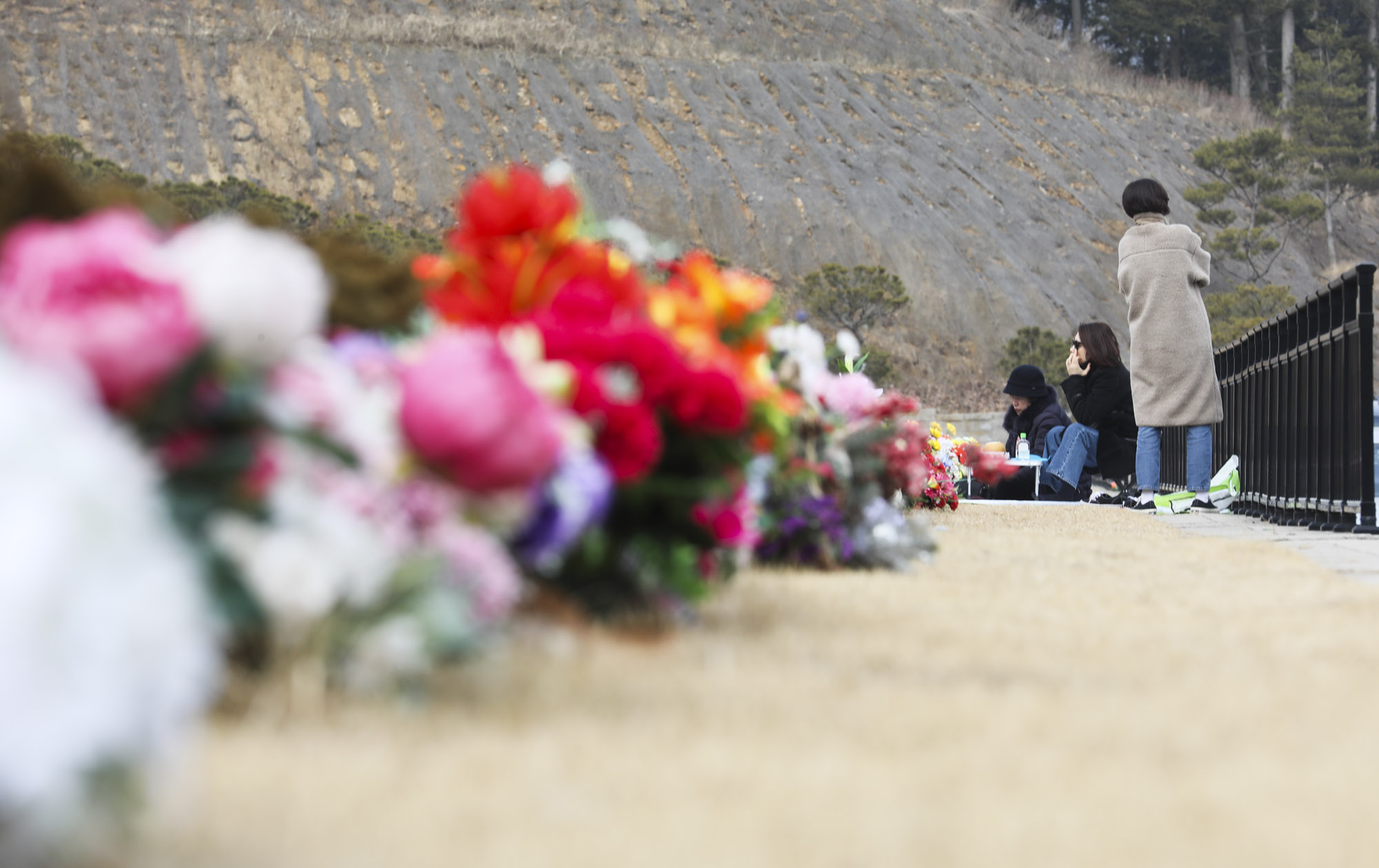 성묘;설날;무덤;차례