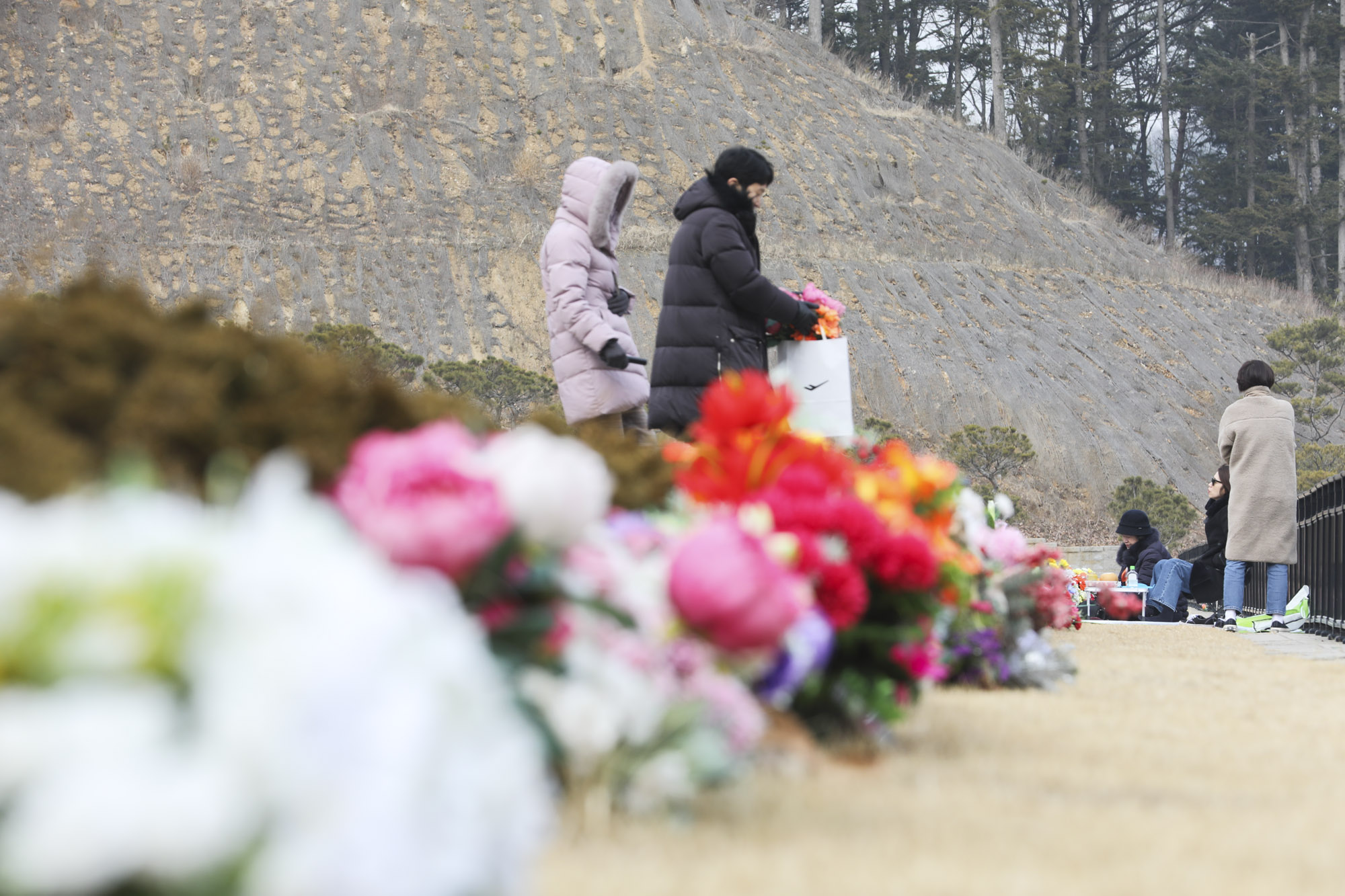 성묘;설날;무덤;차례