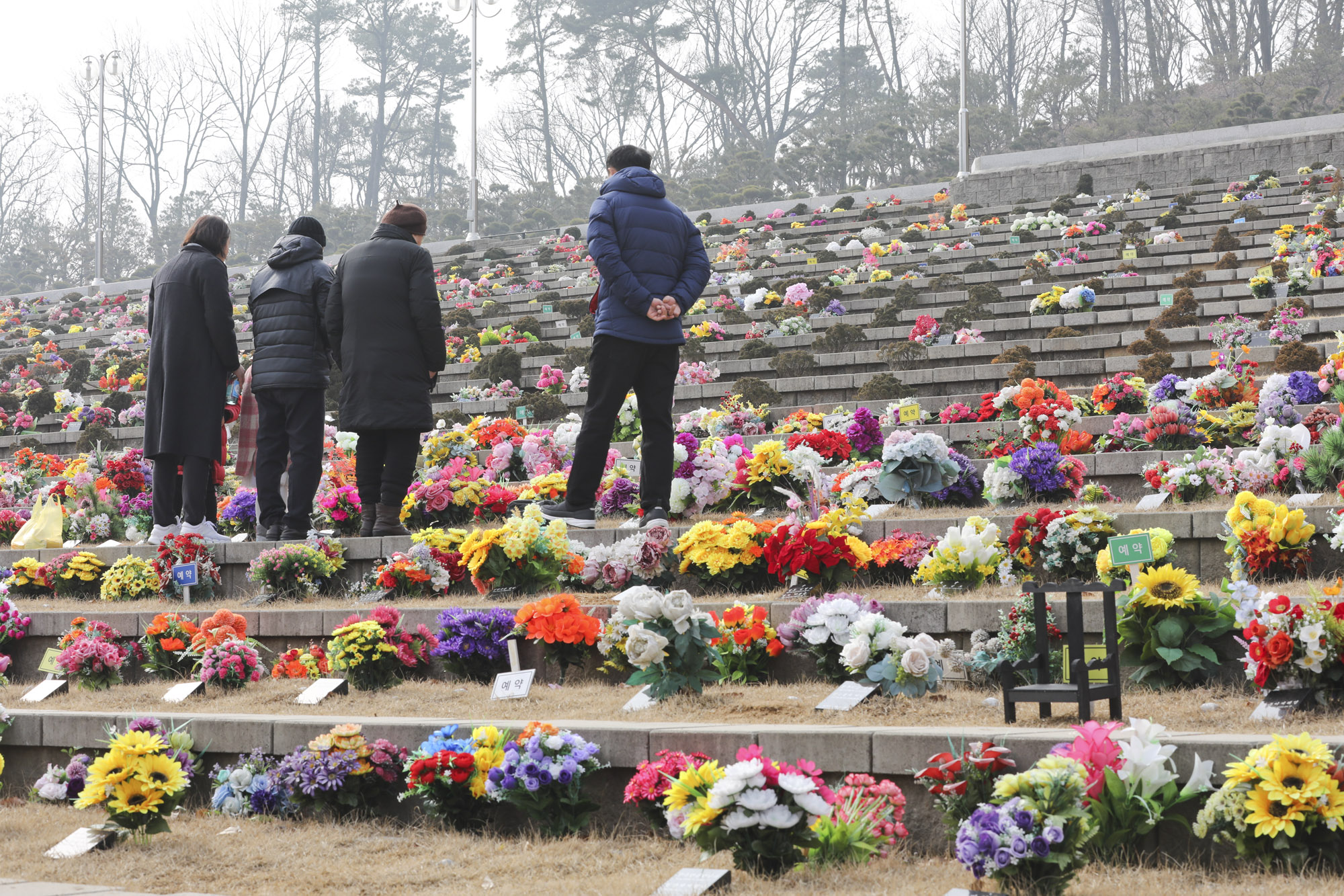 성묘;설날;무덤;차례