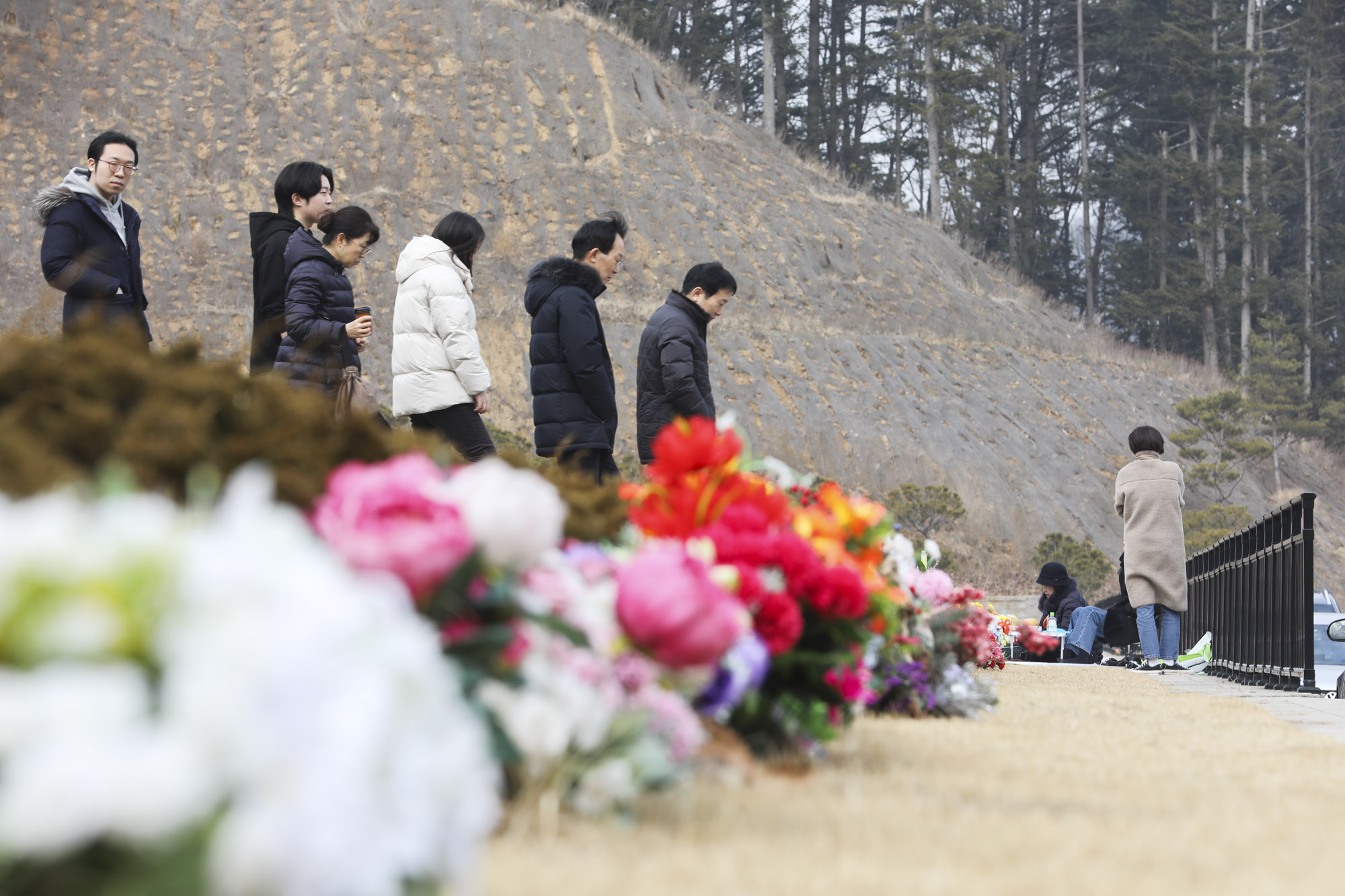 성묘;설날;무덤;차례