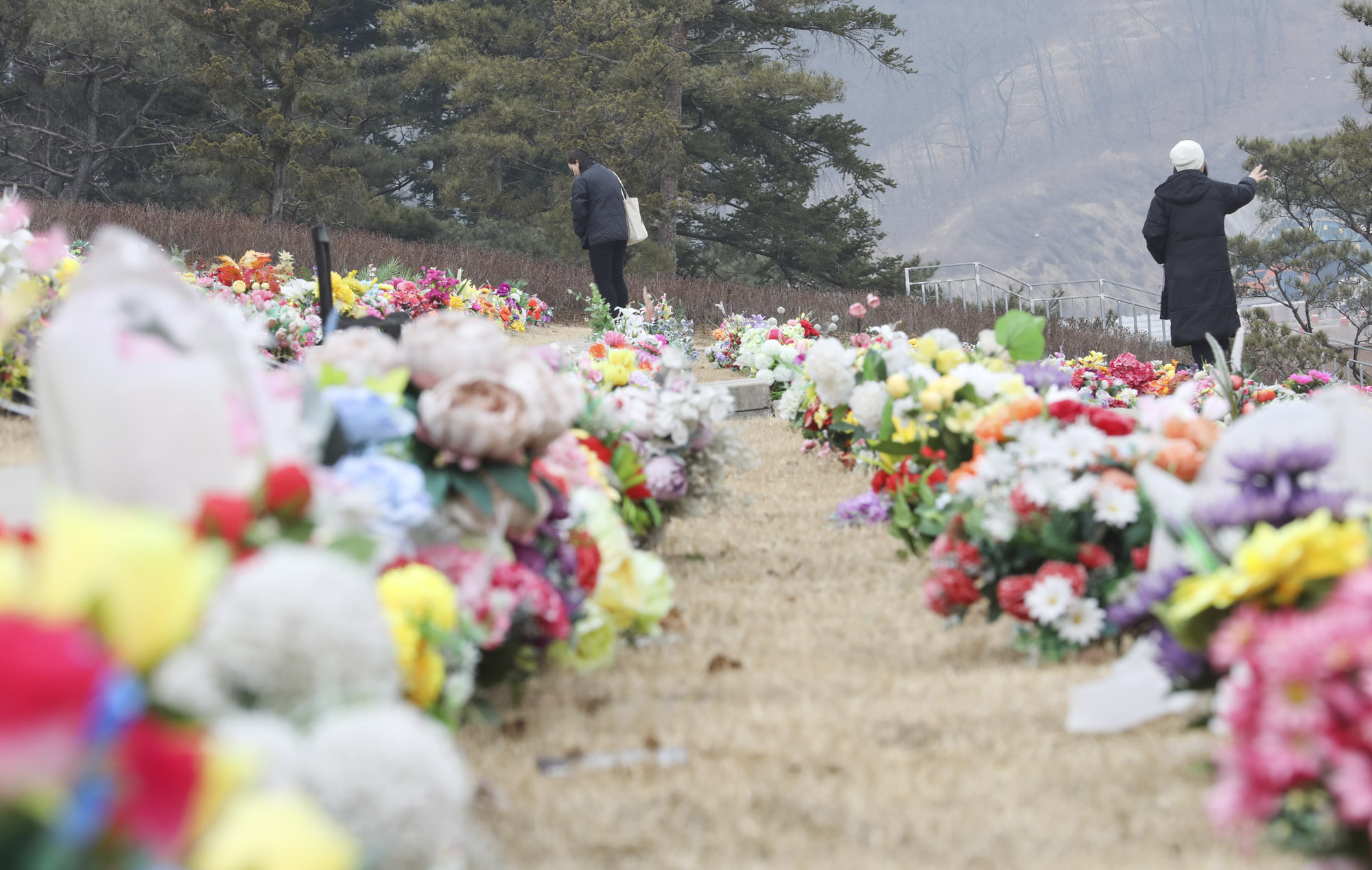 성묘;설날;무덤;차례