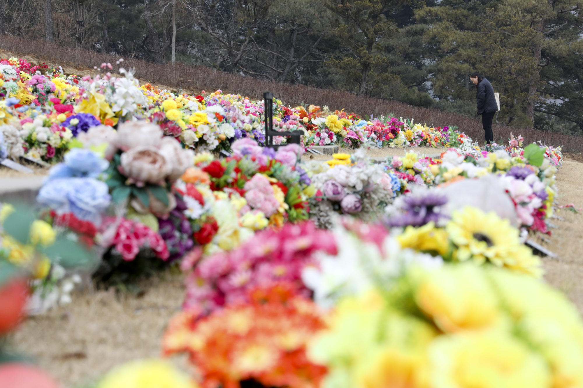 성묘;설날;무덤;차례