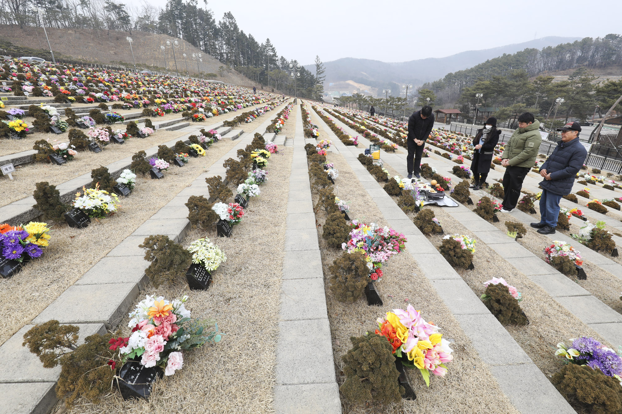 성묘;설날;무덤;차례