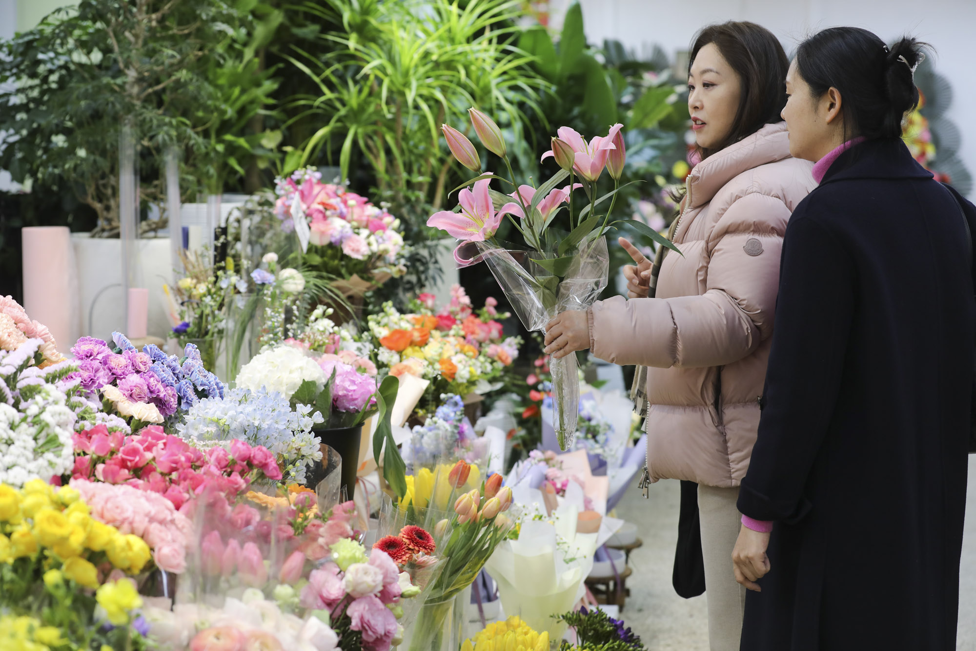 양재꽃시장;봄꽃