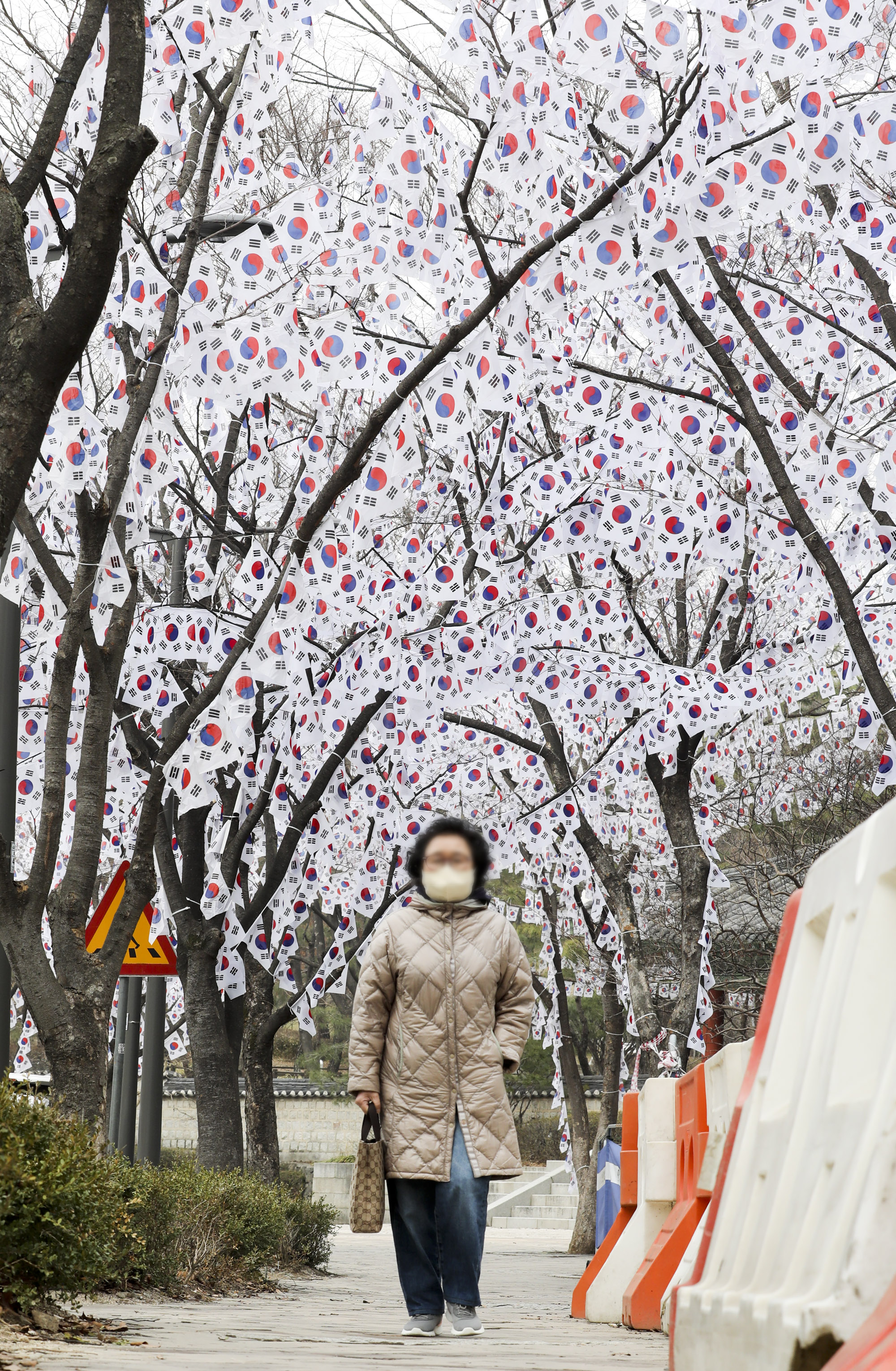 3.1절;태극기;삼일절;효창공원