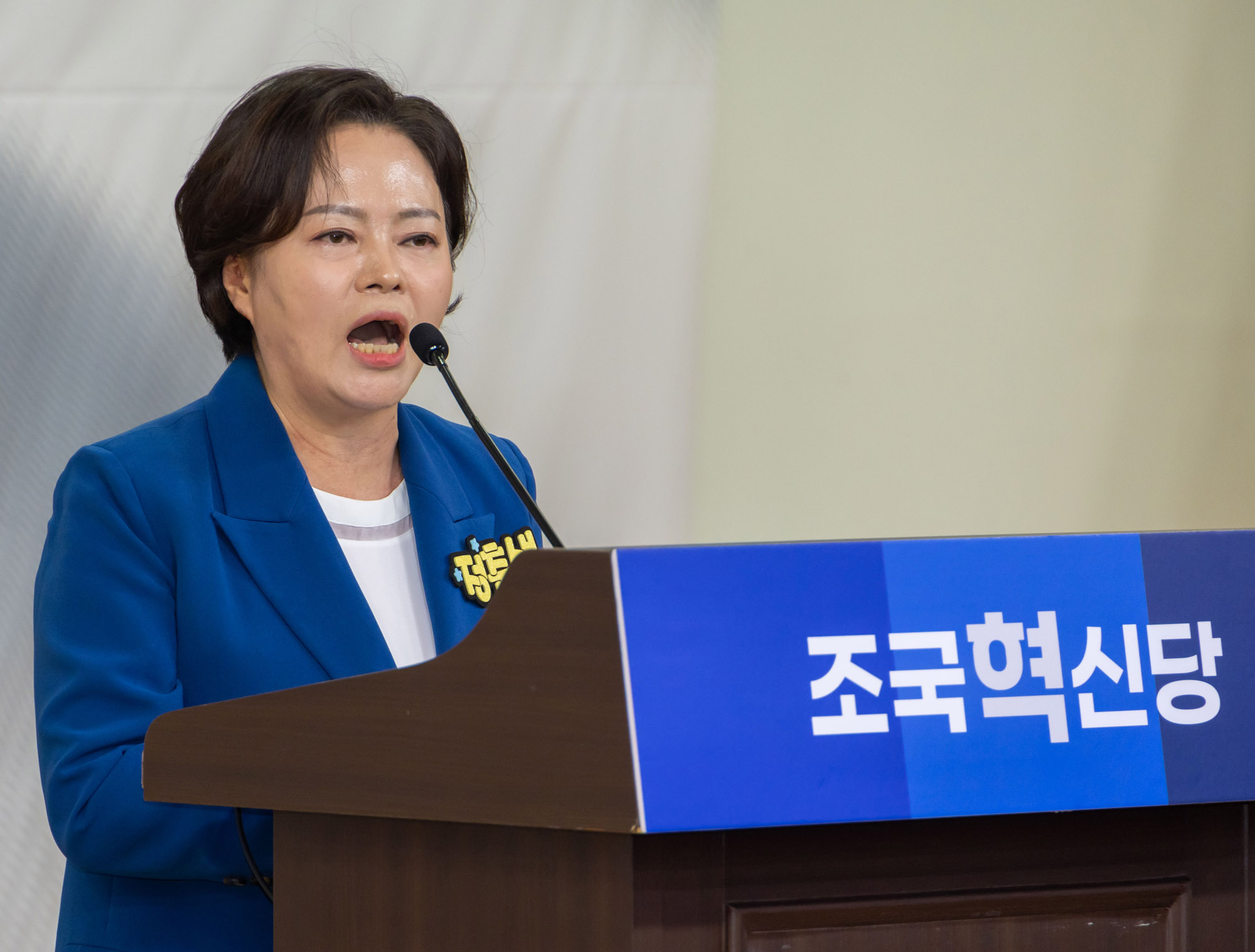 조국;조국혁신당