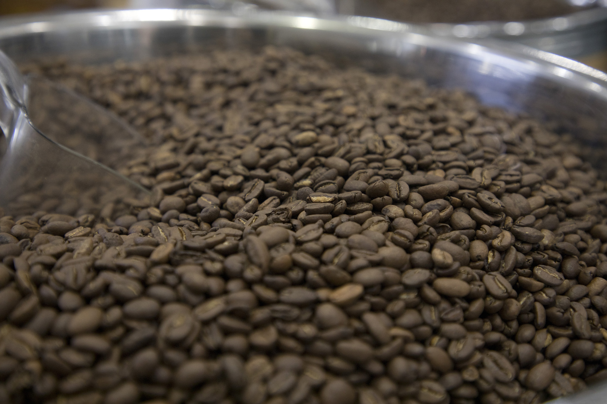 사회;세태;커피;엑스포;코엑스