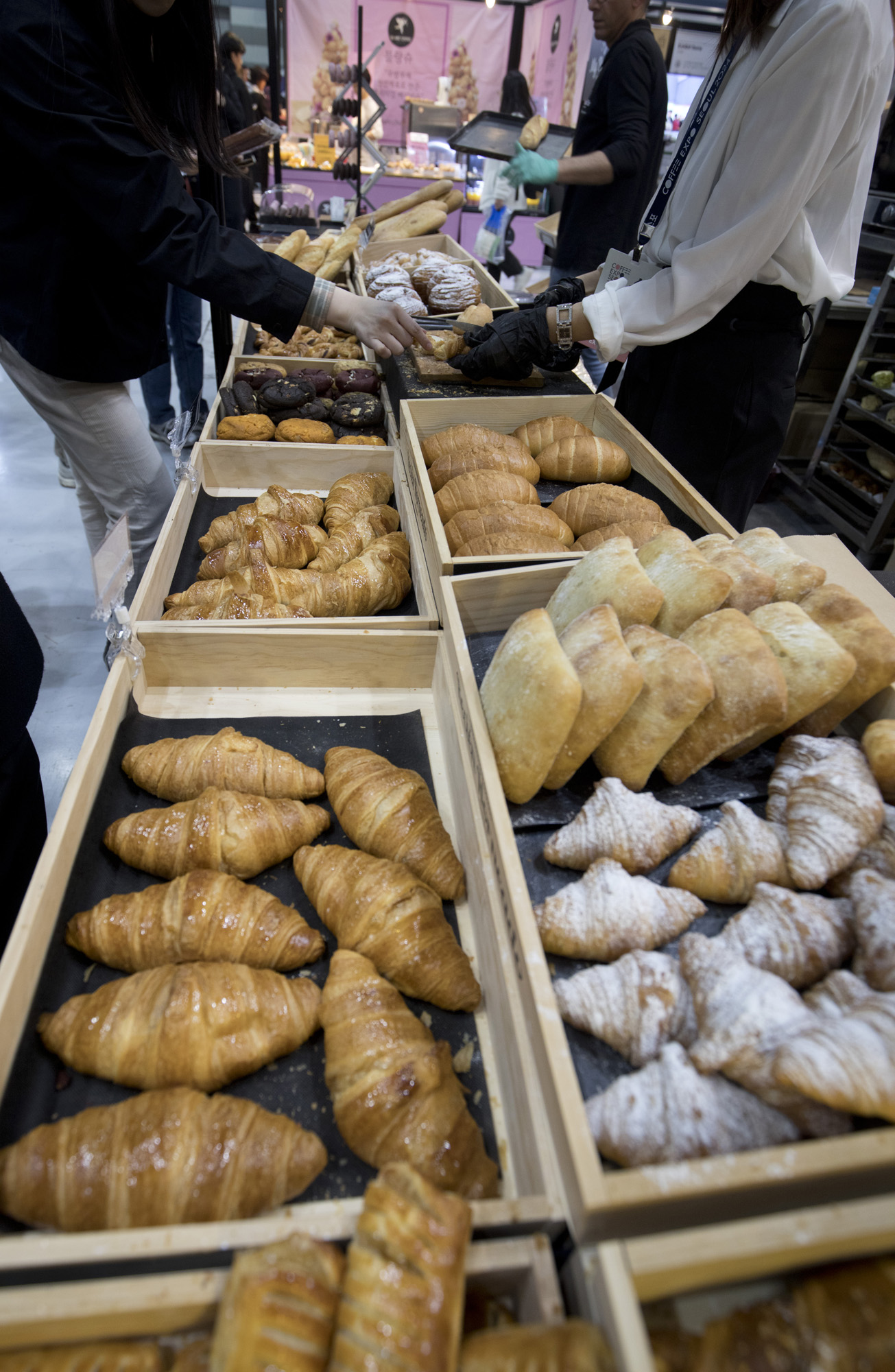 사회;세태;커피;엑스포;코엑스