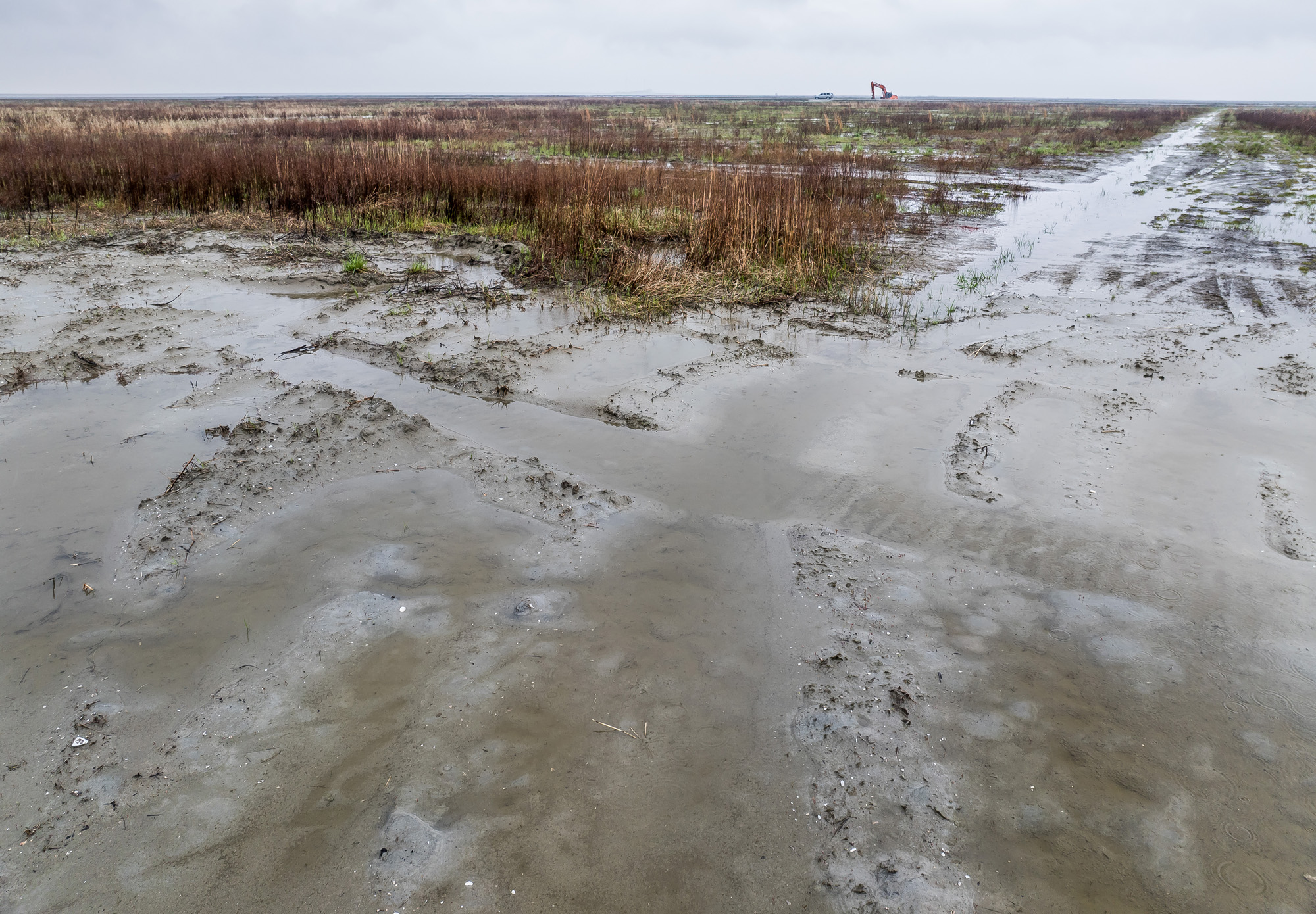 사회;사건사고;건설;최악의개발사업;새만금잼버리;새만금잼버리부지;잼버리2023;이양재;이양재원광대학교도시공학과명예교수;2023새만금제25회세계스카우트잼버리야영지