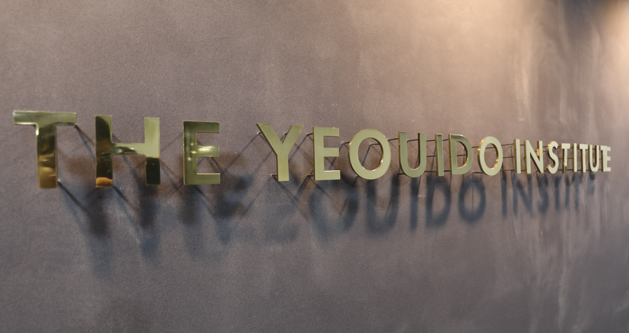 정치;여의도연구원