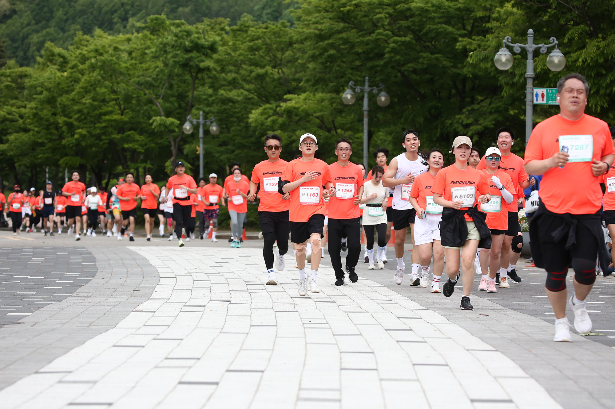 비즈한국 버닝런 2024
