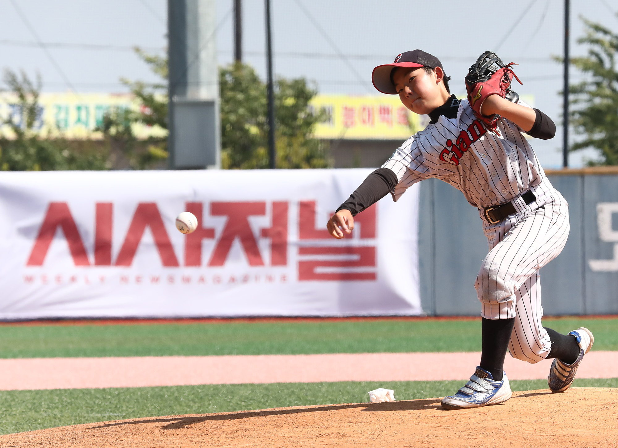 2024 시사저널 화성시장배 전국 유소년 야구대회