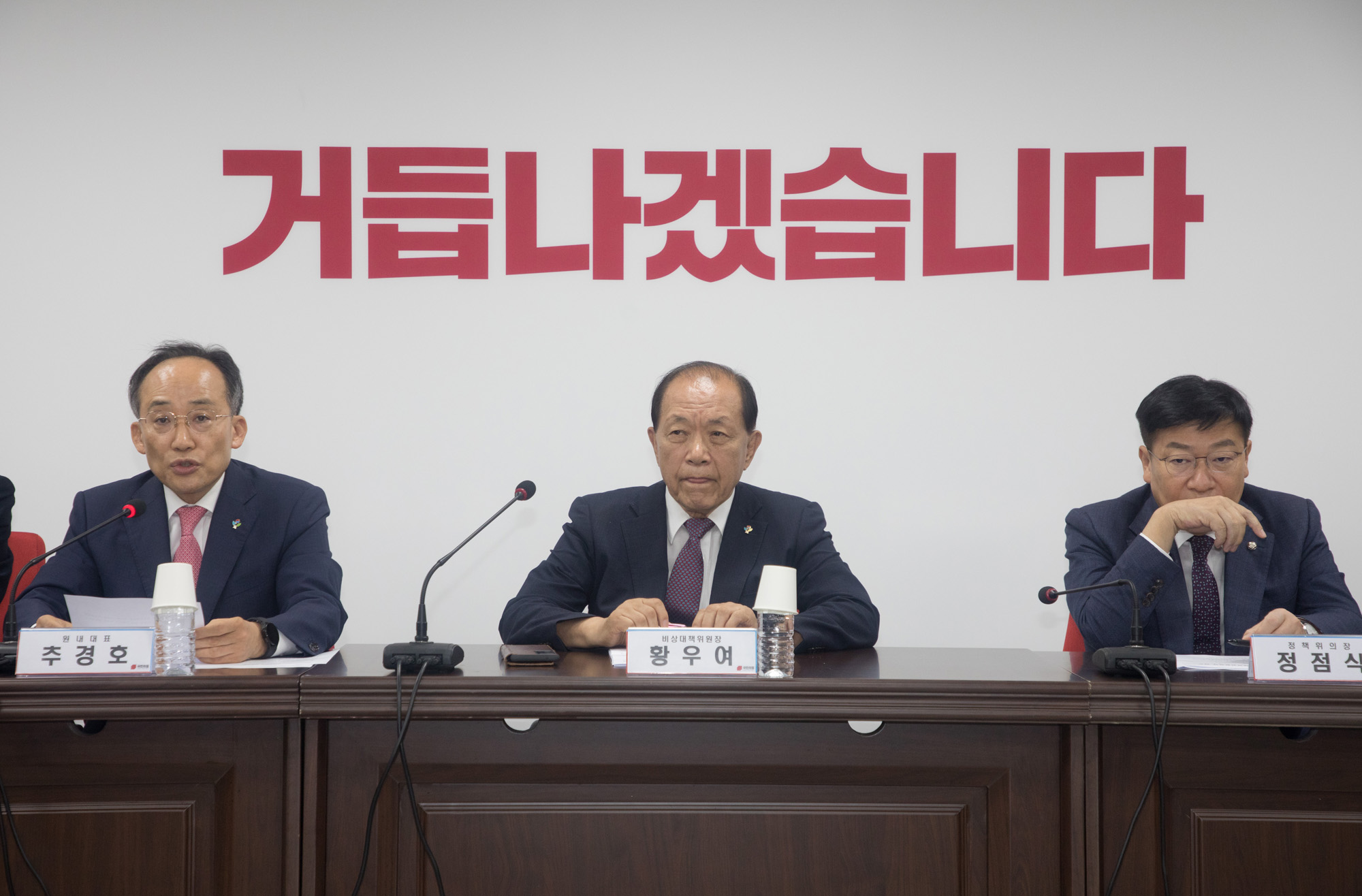 정치;국민의힘;비상대책위원회의