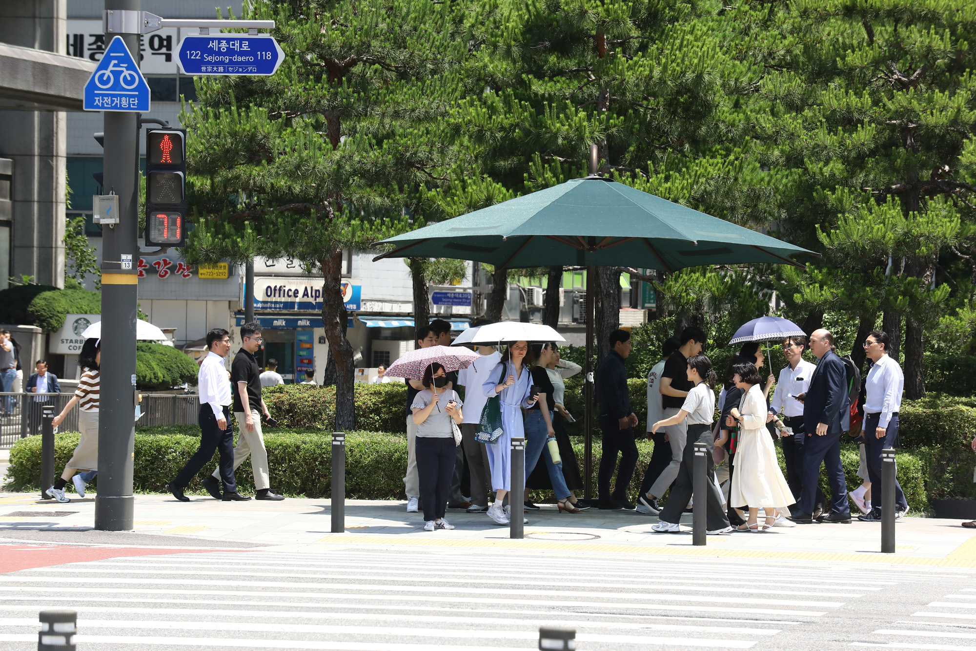 더위;불볕;광화문 햇빛