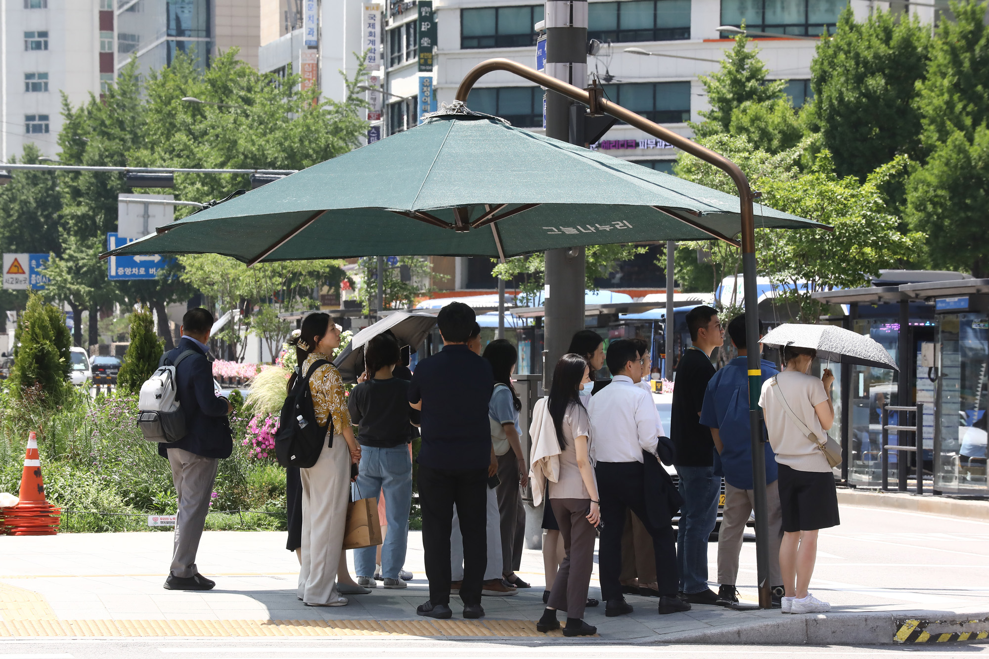 더위;불볕;광화문 햇빛