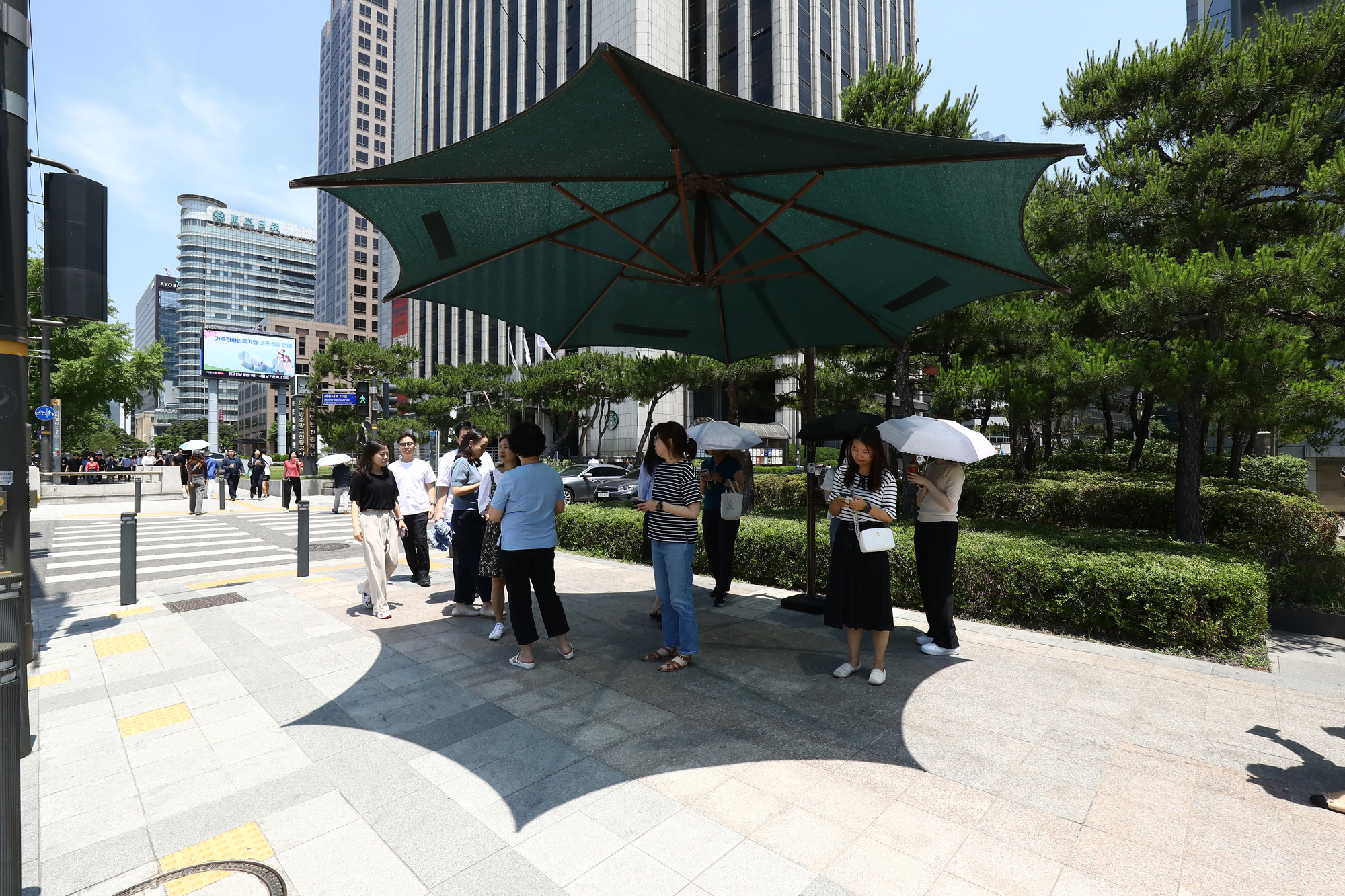 더위;불볕;광화문 햇빛