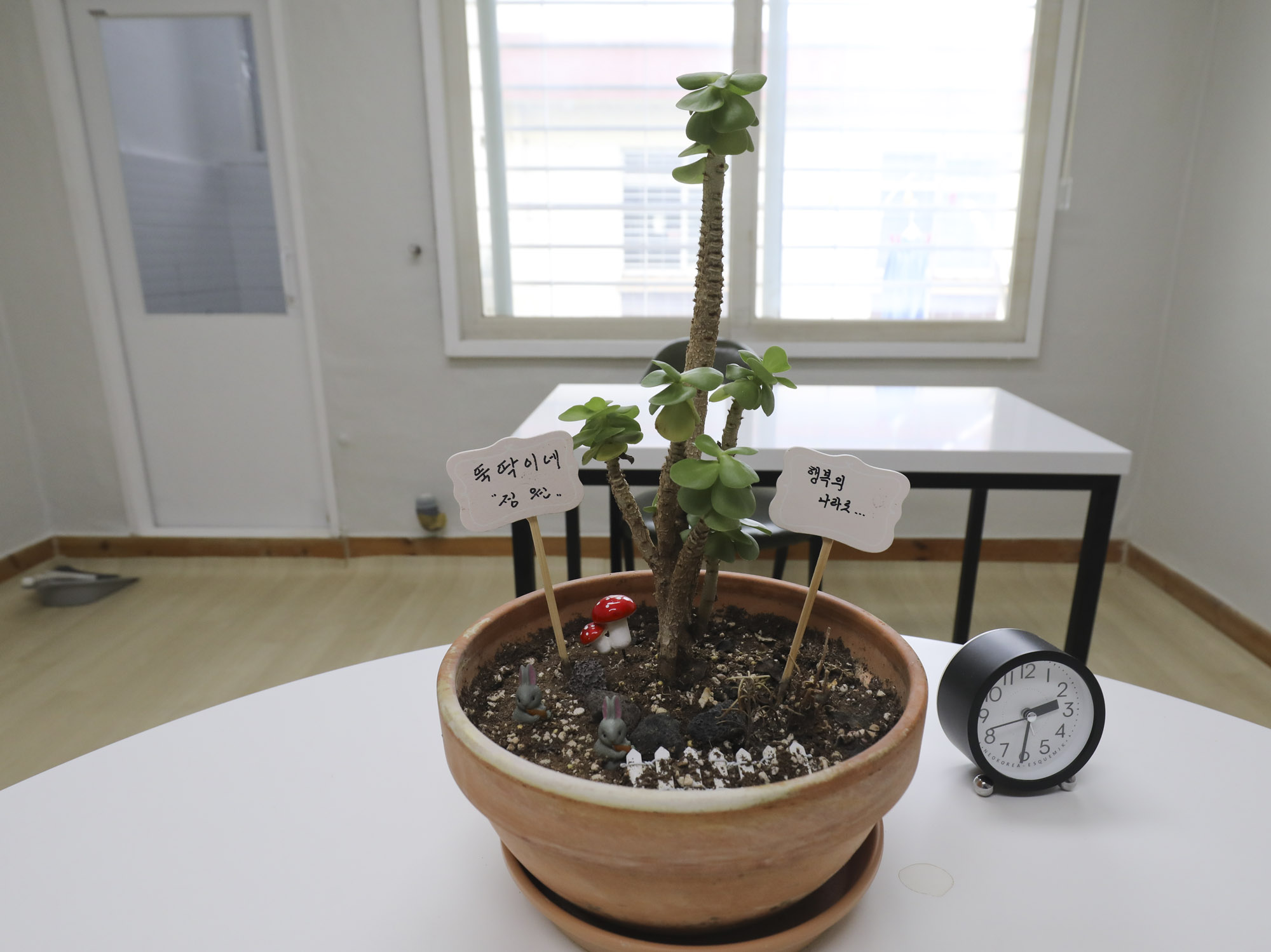 부산교도소;마약;재활교육