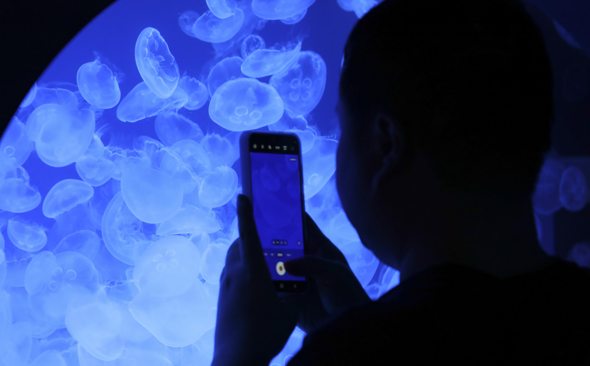 63빌딩아쿠아;63빌딩수족관;아쿠아플라넷63;63스퀘어수족관