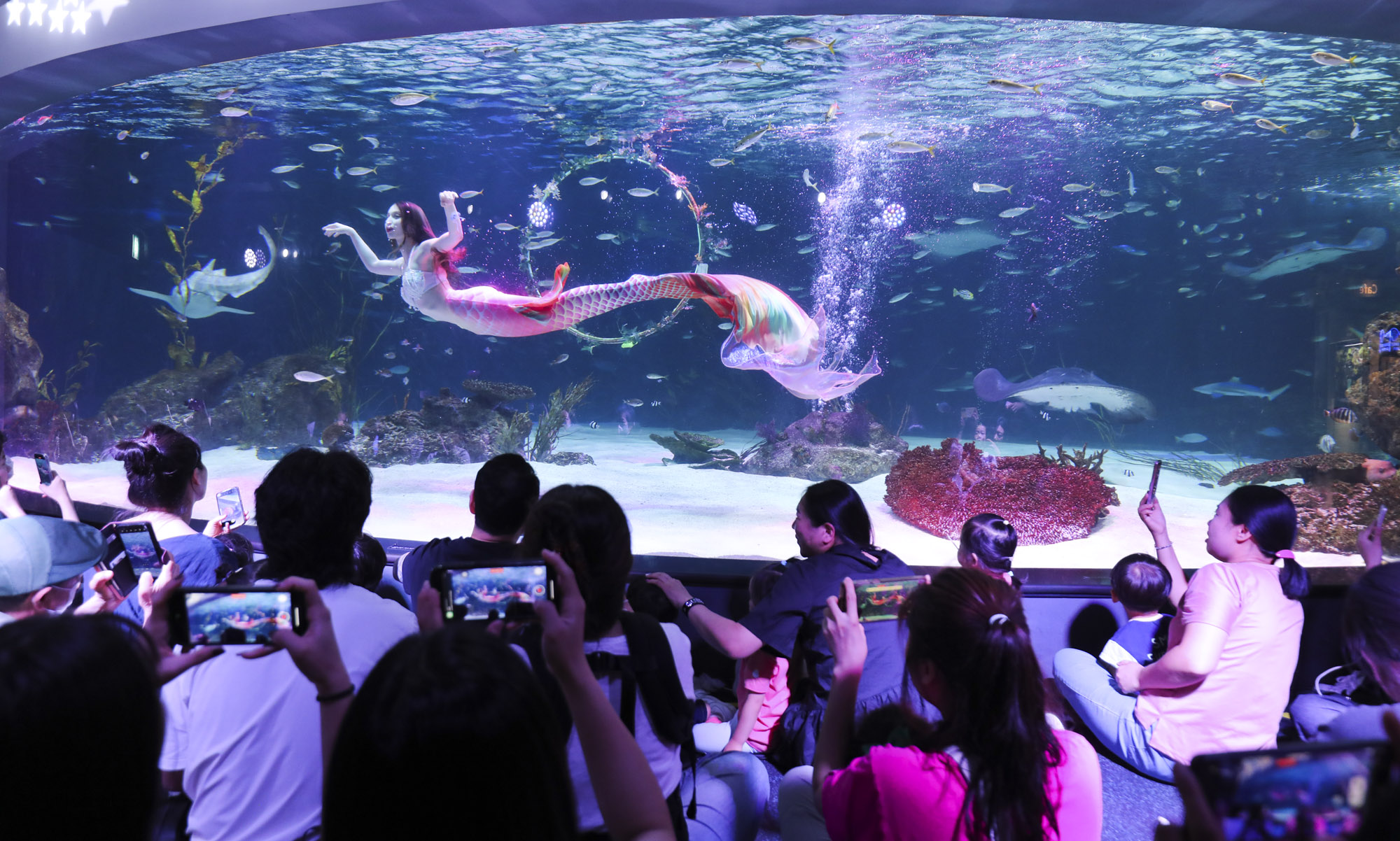 63빌딩아쿠아;63빌딩수족관;아쿠아플라넷63;63스퀘어수족관