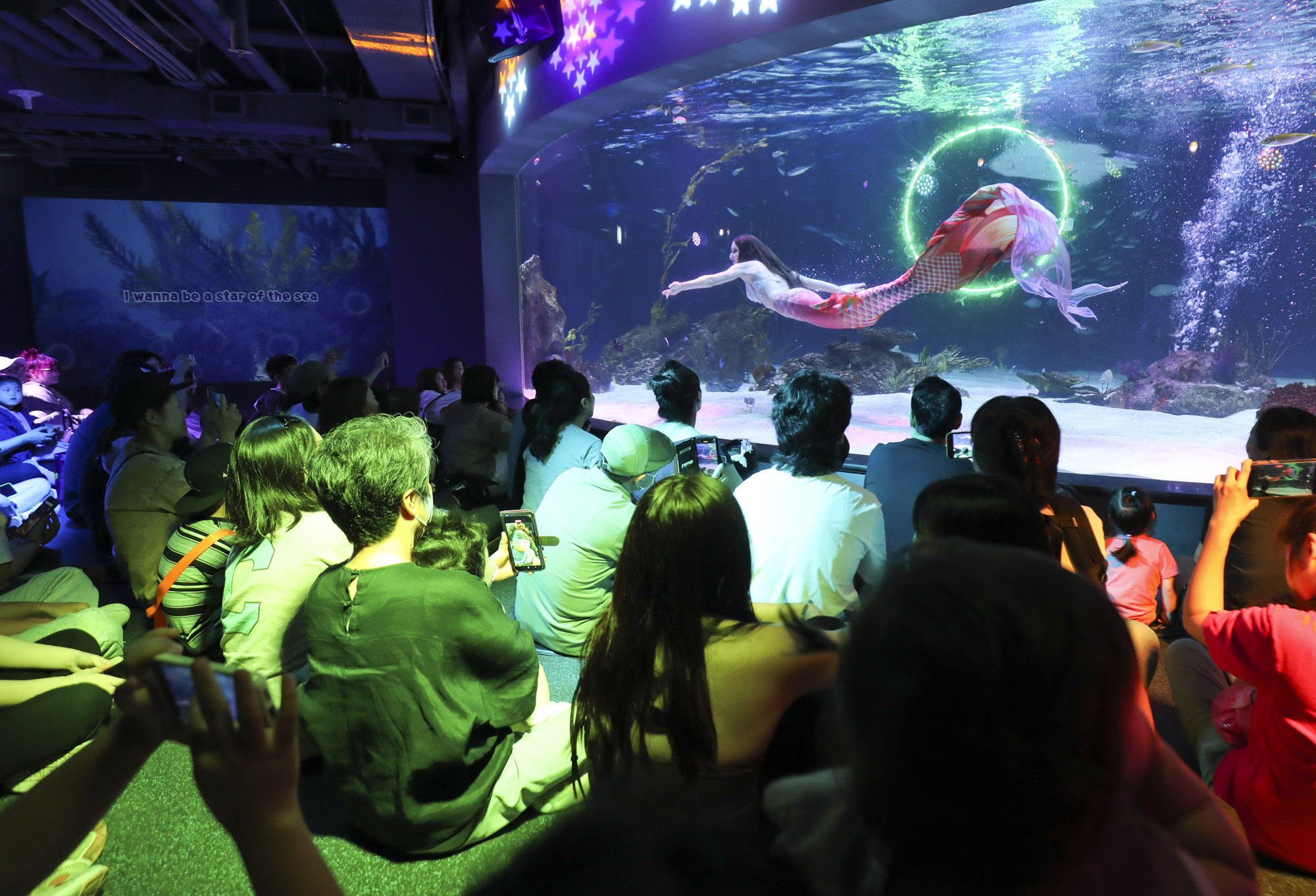63빌딩아쿠아;63빌딩수족관;아쿠아플라넷63;63스퀘어수족관