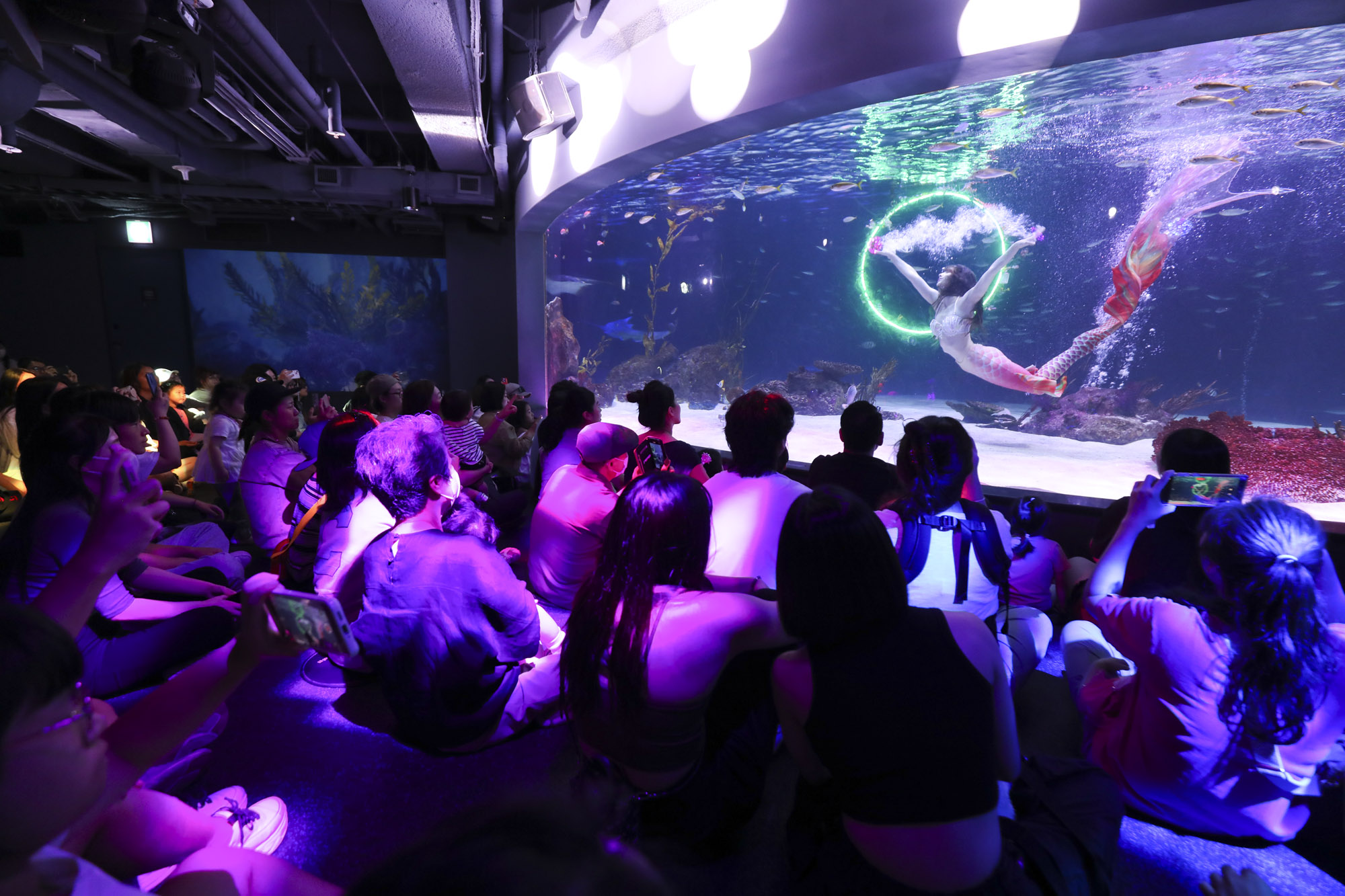 63빌딩아쿠아;63빌딩수족관;아쿠아플라넷63;63스퀘어수족관