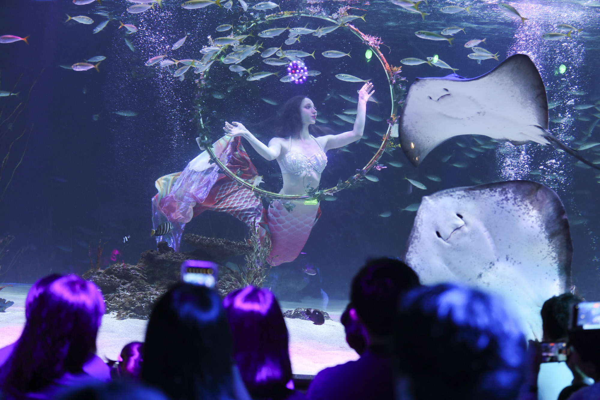 63빌딩아쿠아;63빌딩수족관;아쿠아플라넷63;63스퀘어수족관