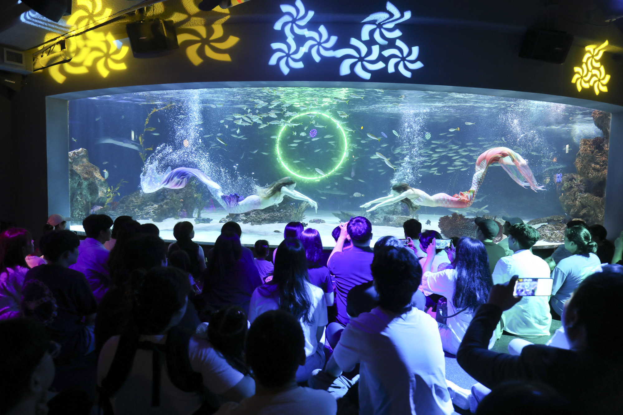 63빌딩아쿠아;63빌딩수족관;아쿠아플라넷63;63스퀘어수족관