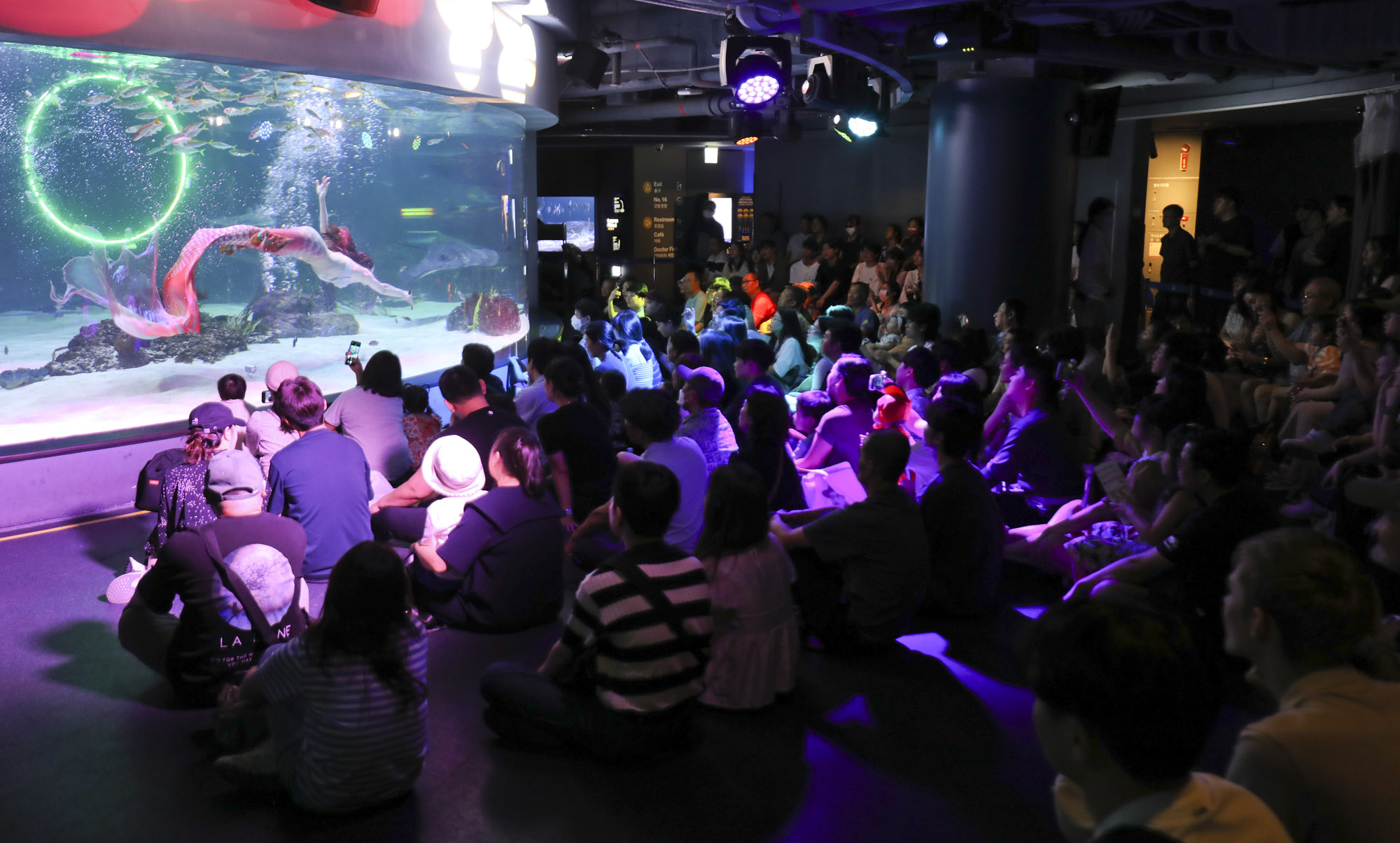 63빌딩아쿠아;63빌딩수족관;아쿠아플라넷63;63스퀘어수족관