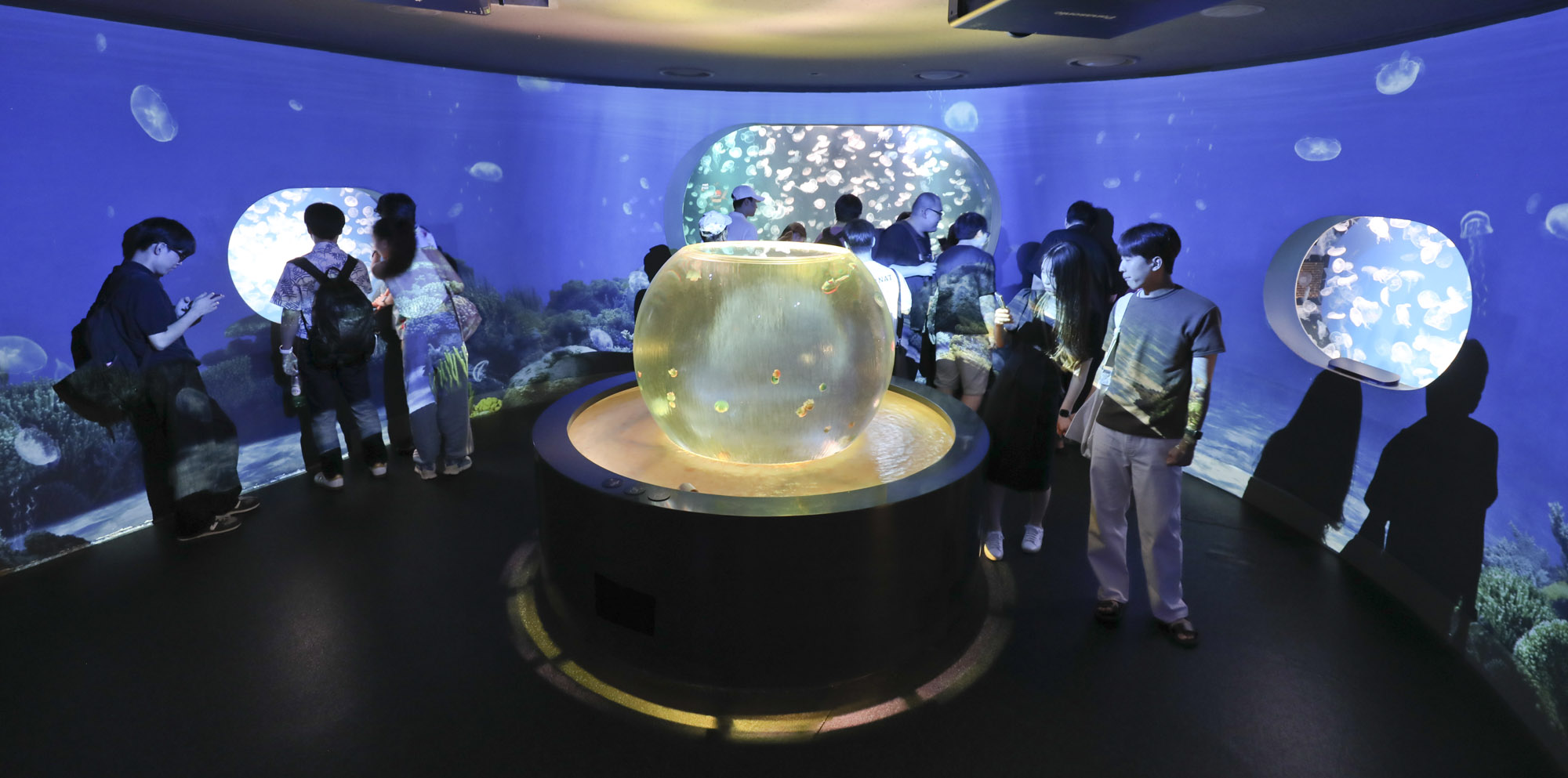 63빌딩아쿠아;63빌딩수족관;아쿠아플라넷63;63스퀘어수족관