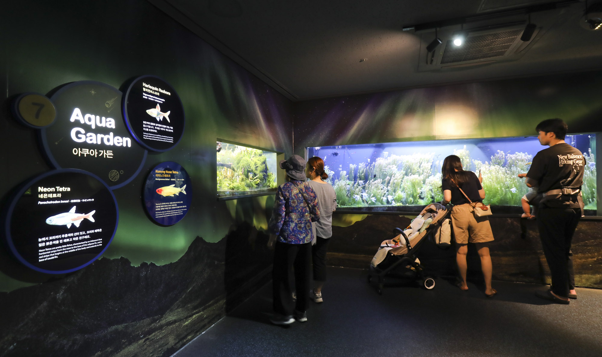 63빌딩아쿠아;63빌딩수족관;아쿠아플라넷63;63스퀘어수족관